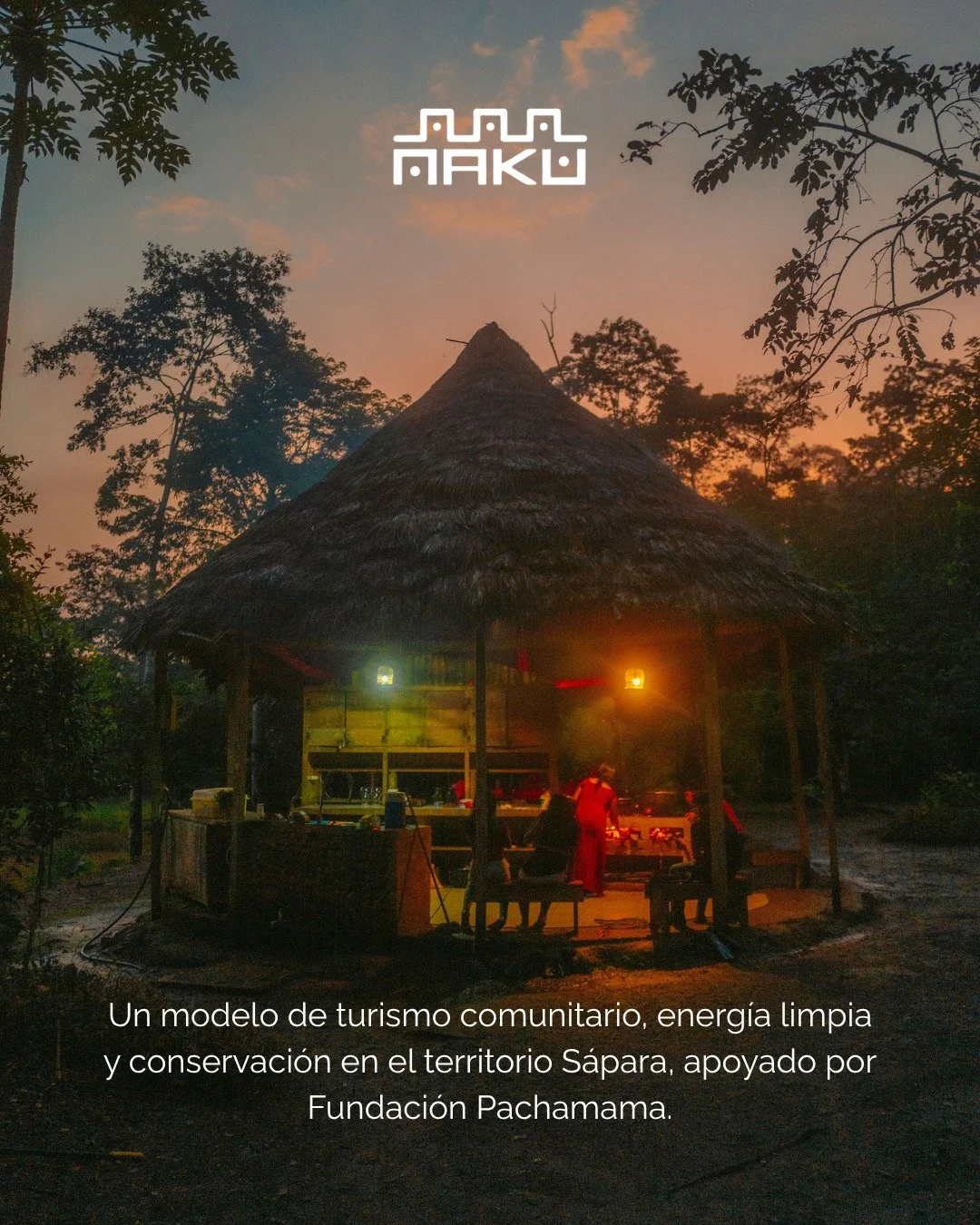Naku: donde el turismo comunitario, la cultura y la conservaci&oacute;n se encuentran 🍃

En el coraz&oacute;n del territorio S&aacute;para, la comunidad de Llanchama Cocha ha consolidado un modelo de turismo comunitario que fortalece la econom&iacut