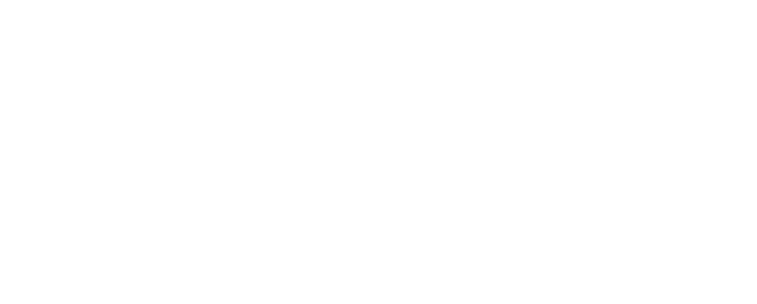 Abstract black and white feather shape on white background.