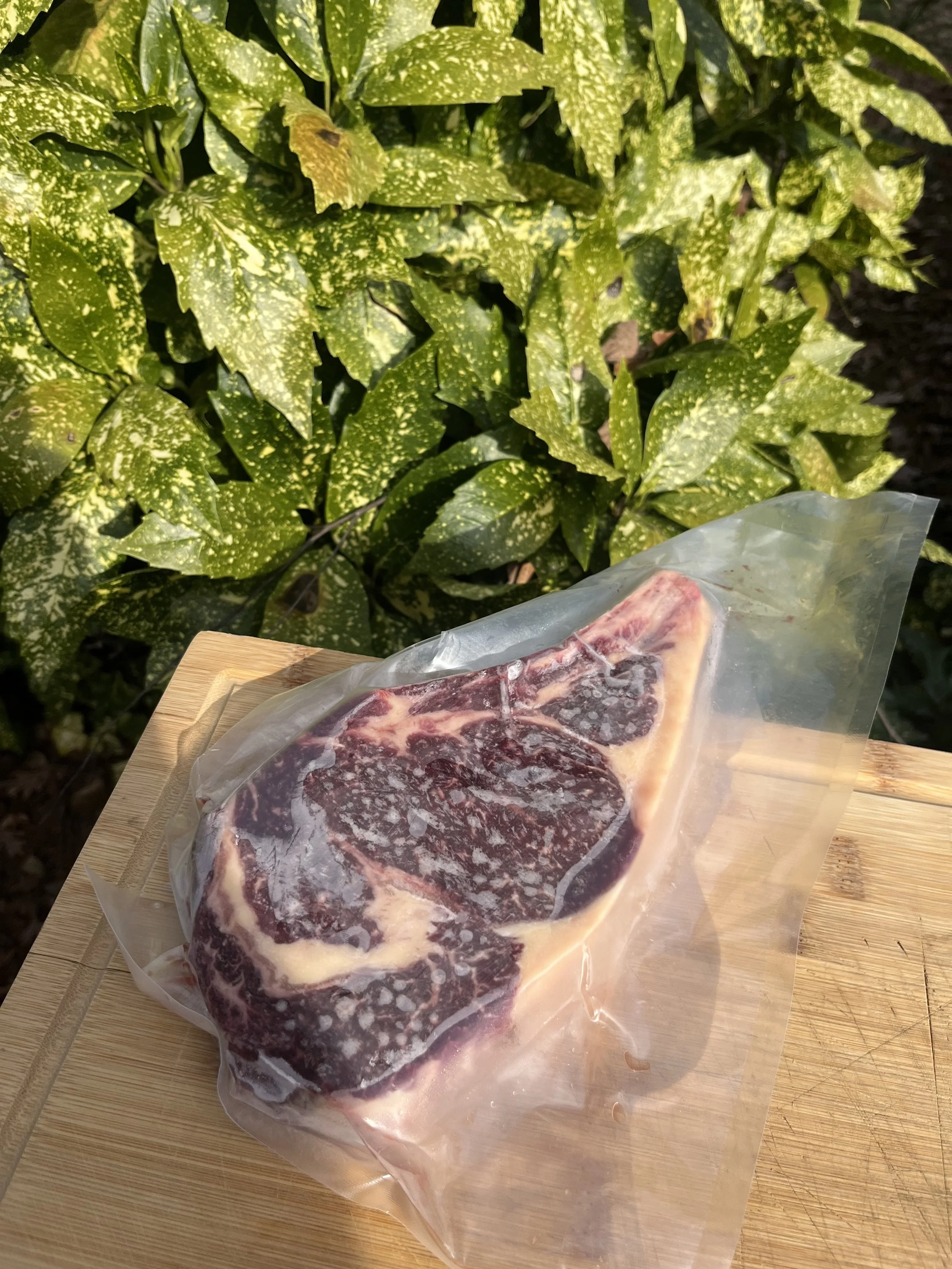 beta_Ribeye.jpg