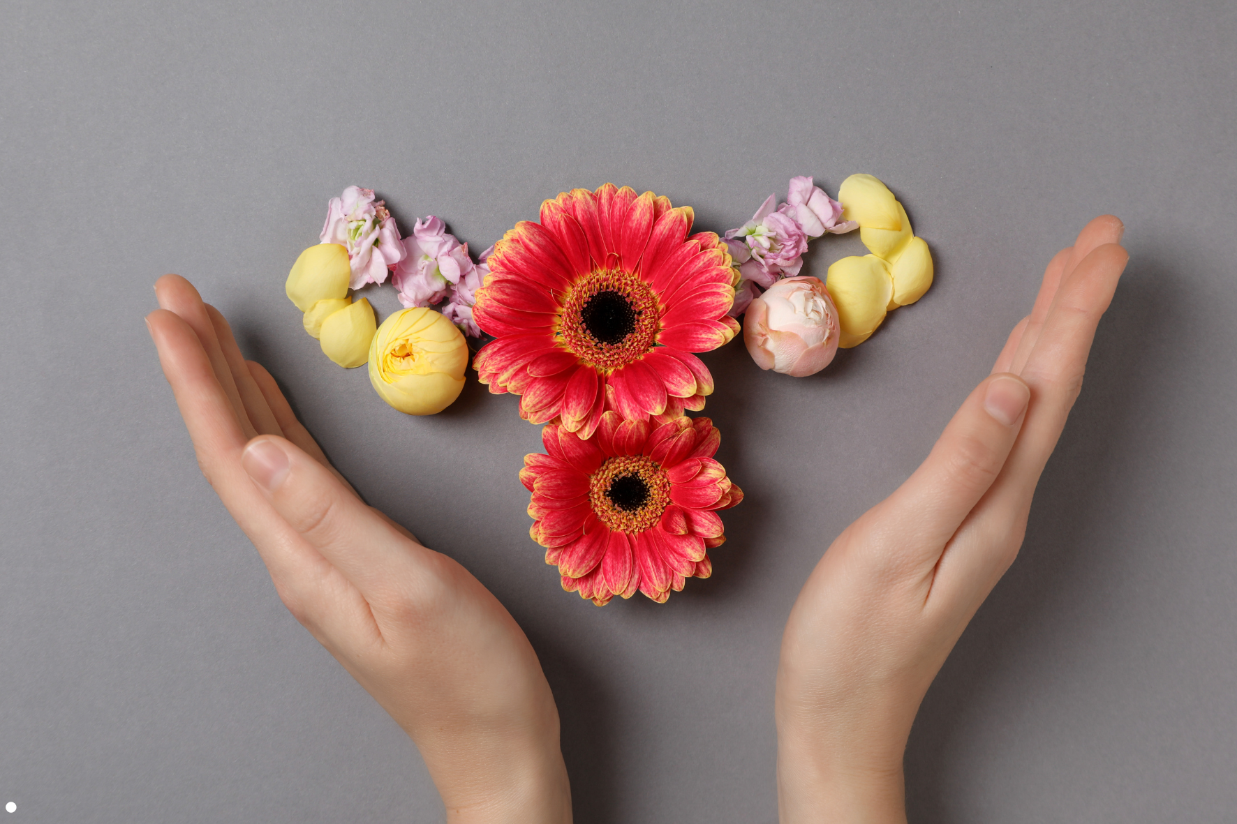 Flowers representing a Women's fertility in their 30s and 40s