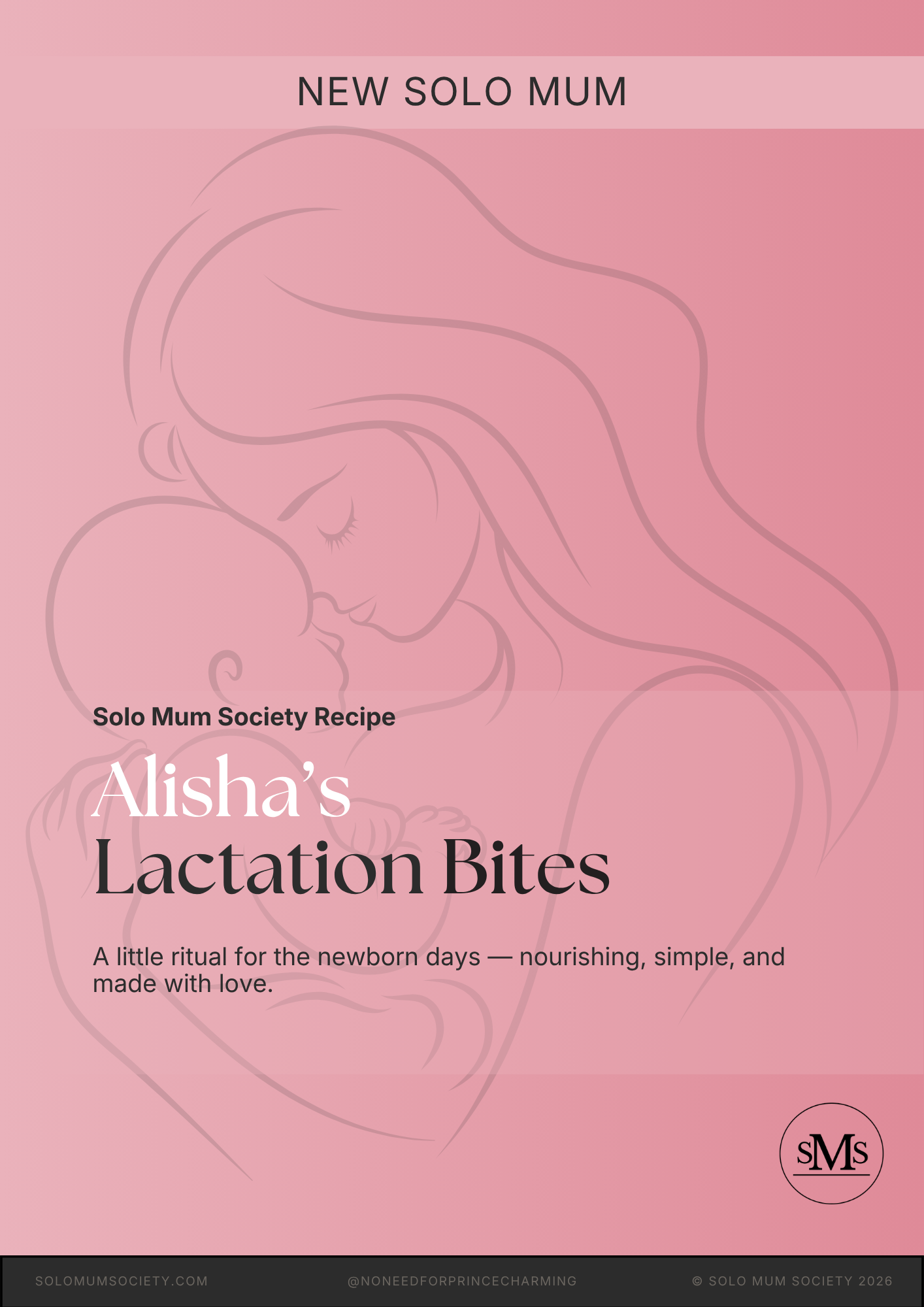 Lactation bites recipe — Solo Mum Society