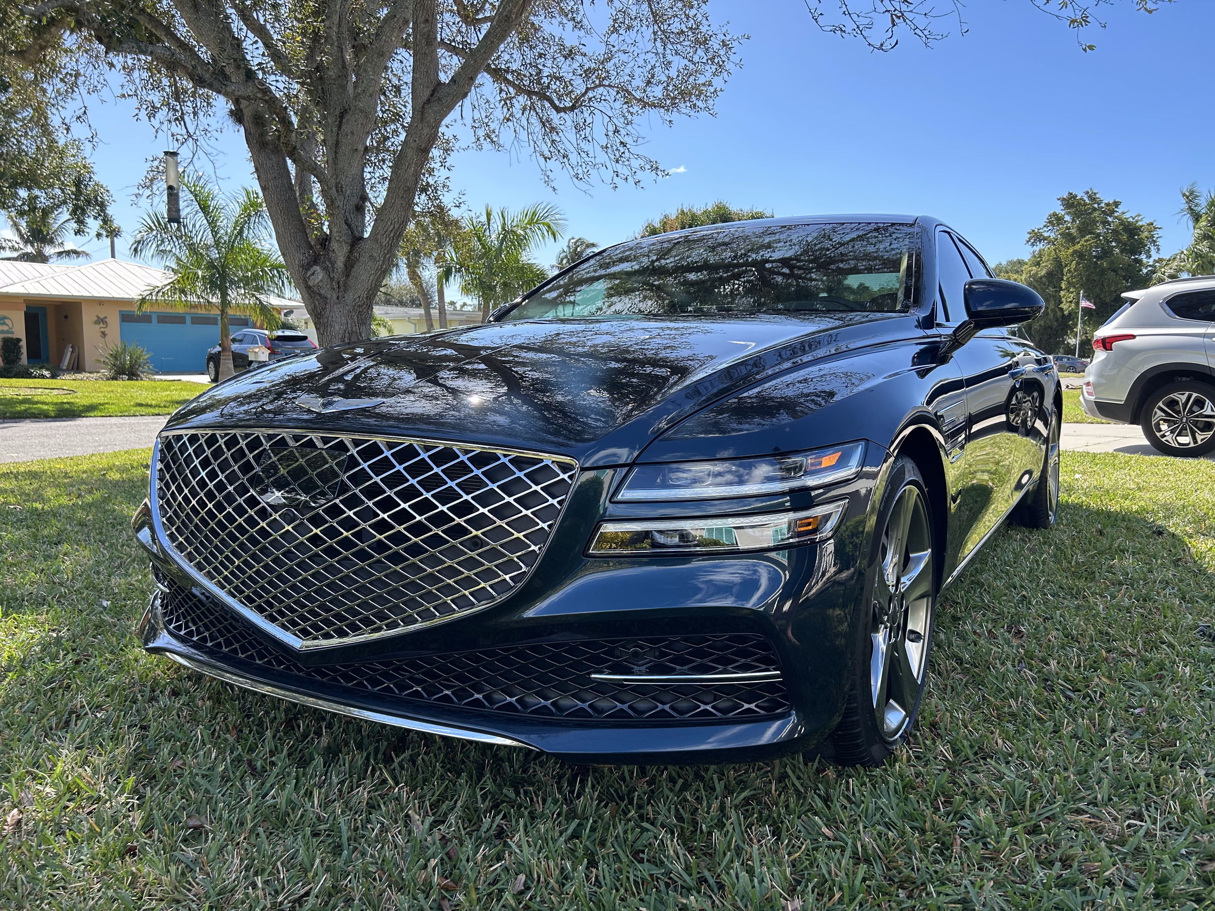 A black luxury sedan parked on a grassy lawn with trees and houses in the background under clear blue sky.