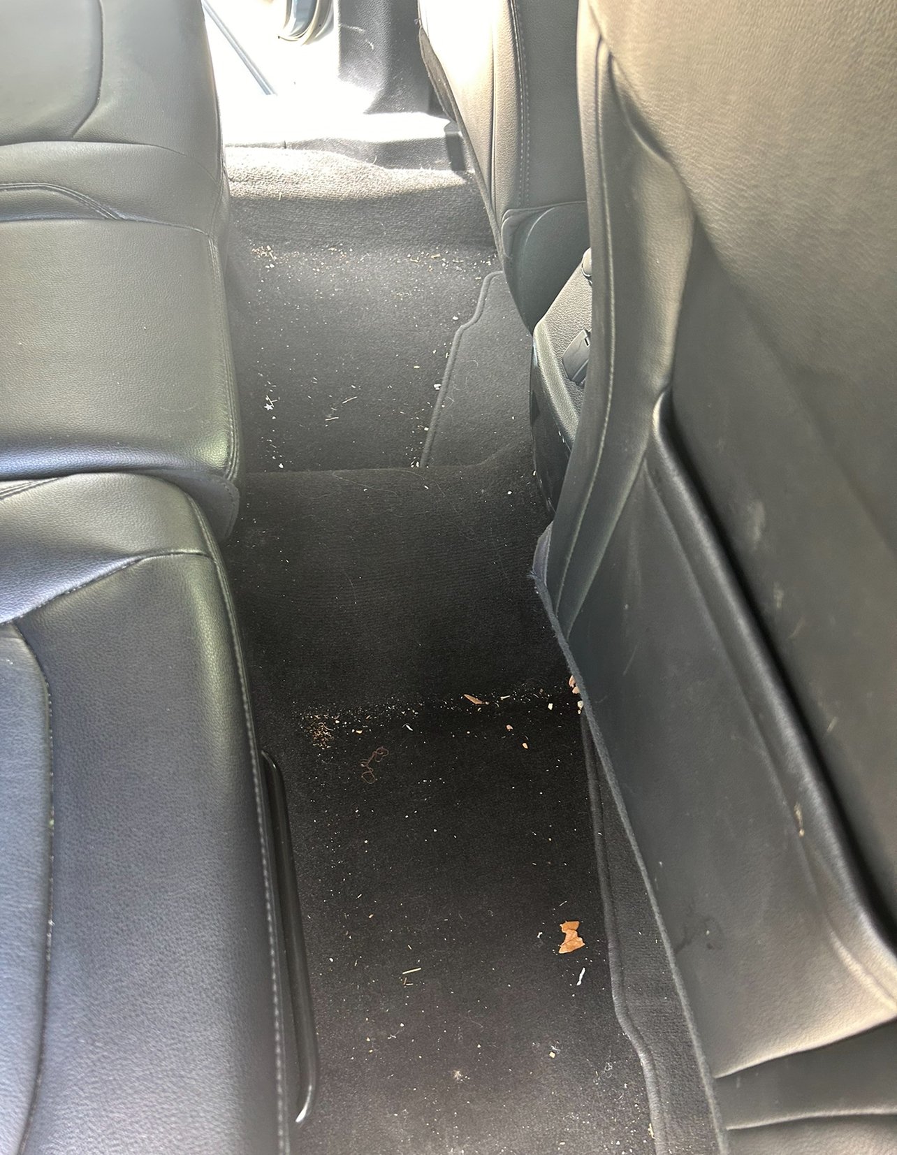Back seat area of a car with black carpet, some dirt, small debris, and a few pieces of leaves.