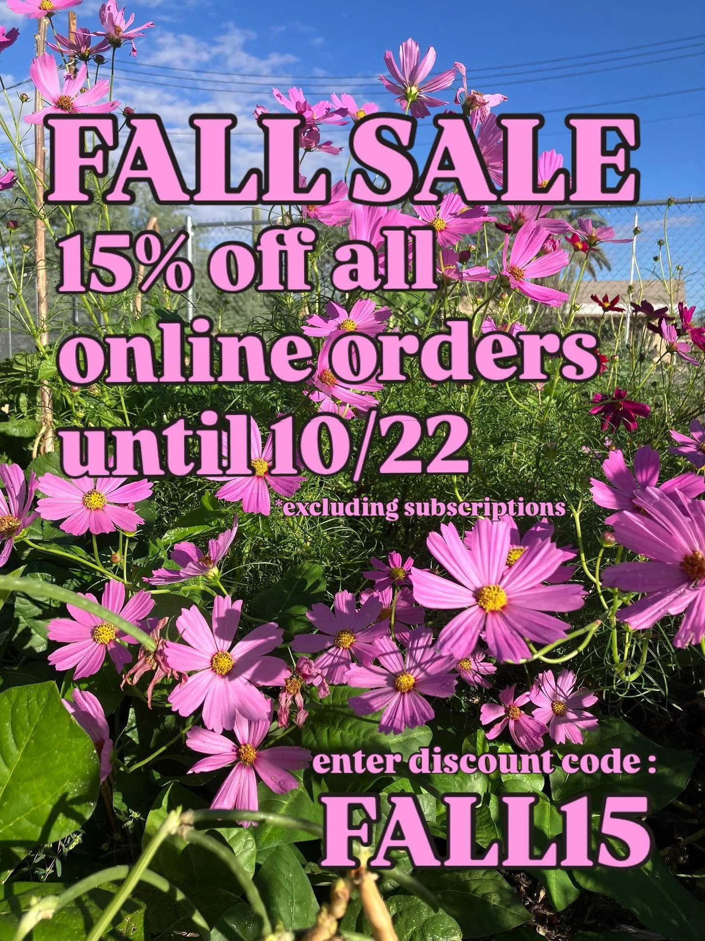 help me clear out inventory / keep the apothecary open

FALL SALE RUNS NOW UNTIL 10/22

use code FALL15 for 15% off your entire order (excluding subscriptions) 💐💐💐
