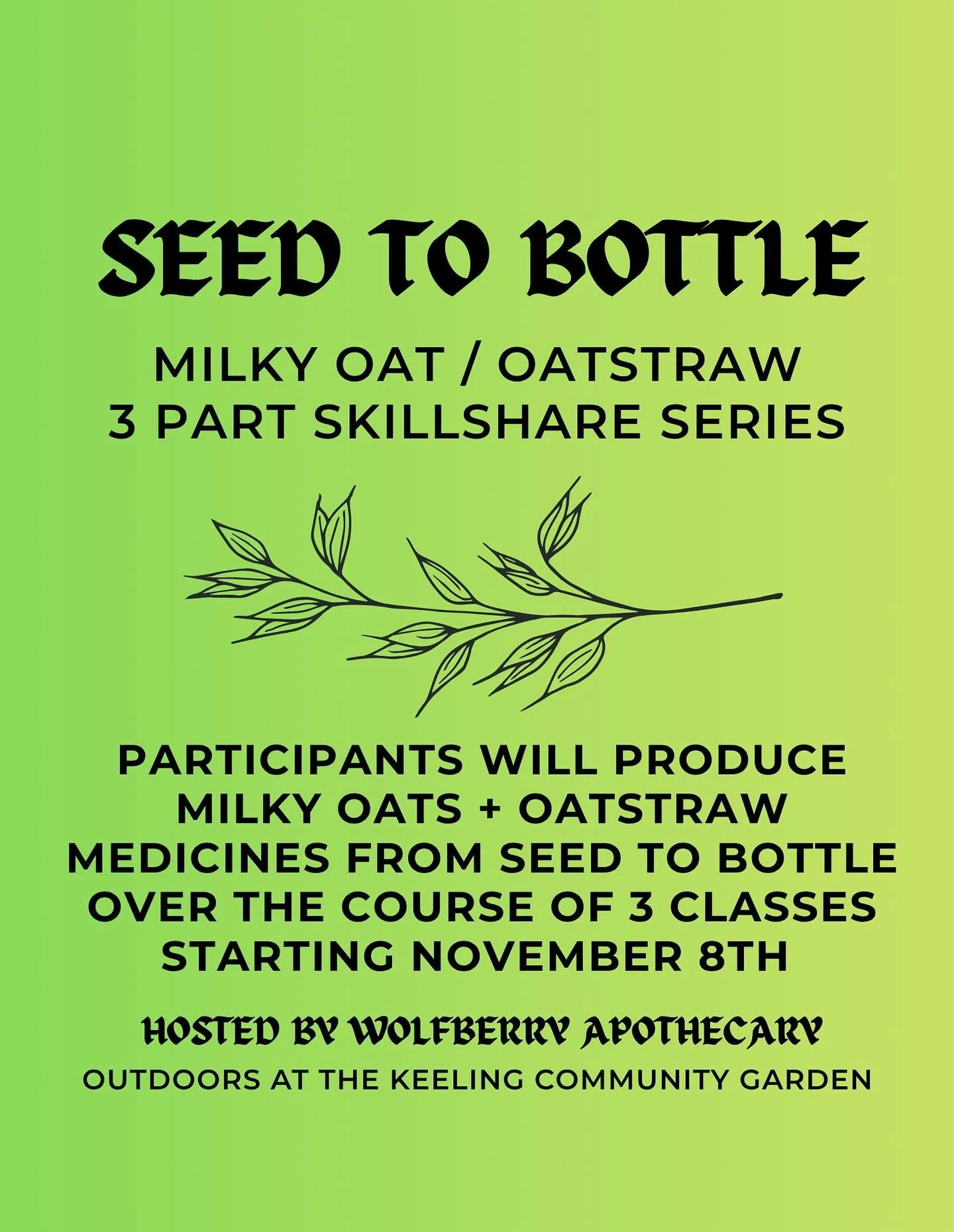 REGISTRATION NOW OPEN 🌾
**typo - class starts november 9th!** 
Seed to Bottle is 3 part milky oat / oatstraw medicine making series in which participants will have the opportunity to plant, grow, harvest and prepare avena sativa plant medicine in