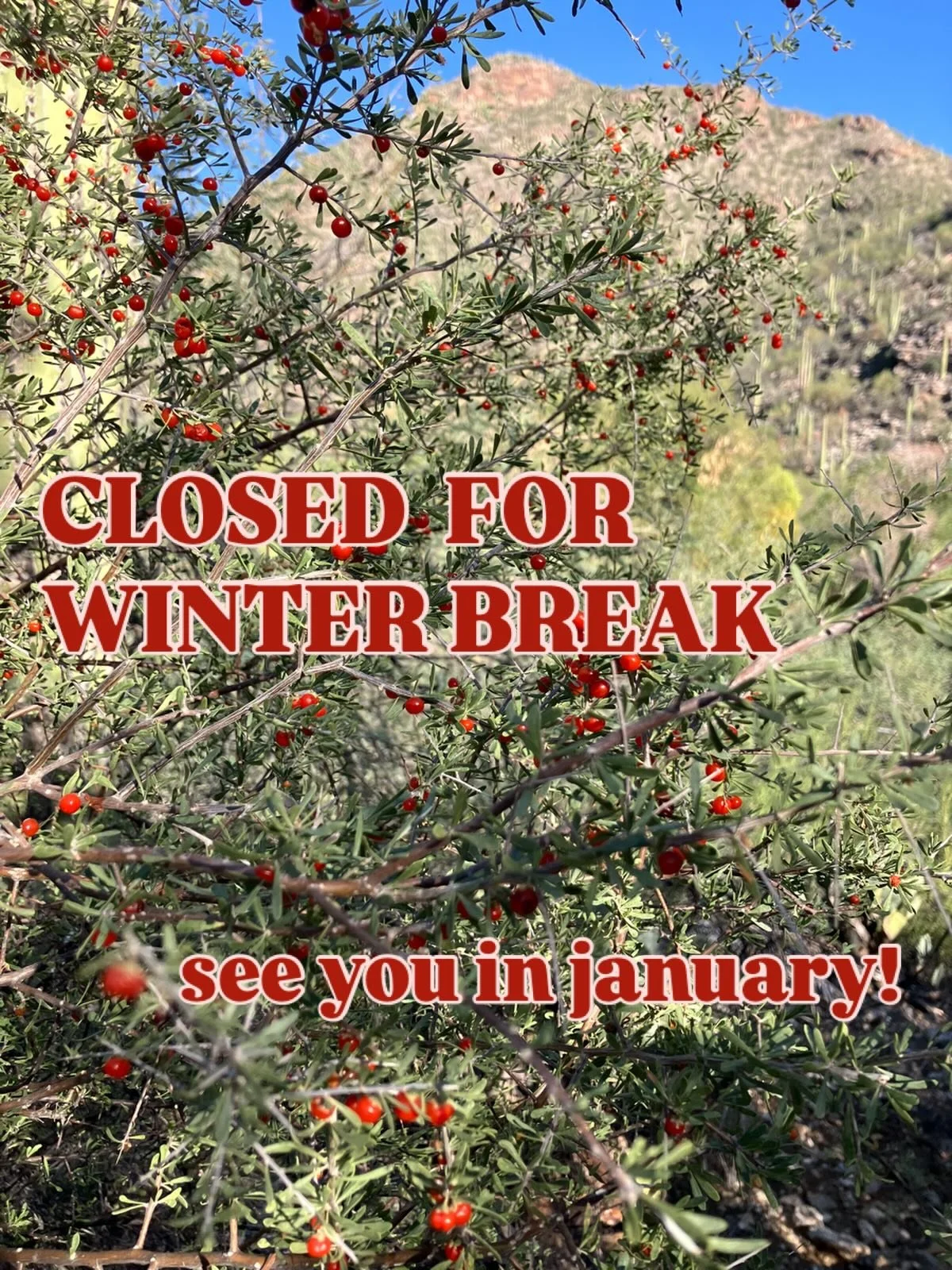 thanks for another year of growth, support &amp; encouragement! 

i&rsquo;ll be taking time away from orders to catch up on crying, spend time with my kiddo who just finished his first semester of HS 😭, plant trees and tend to some important project