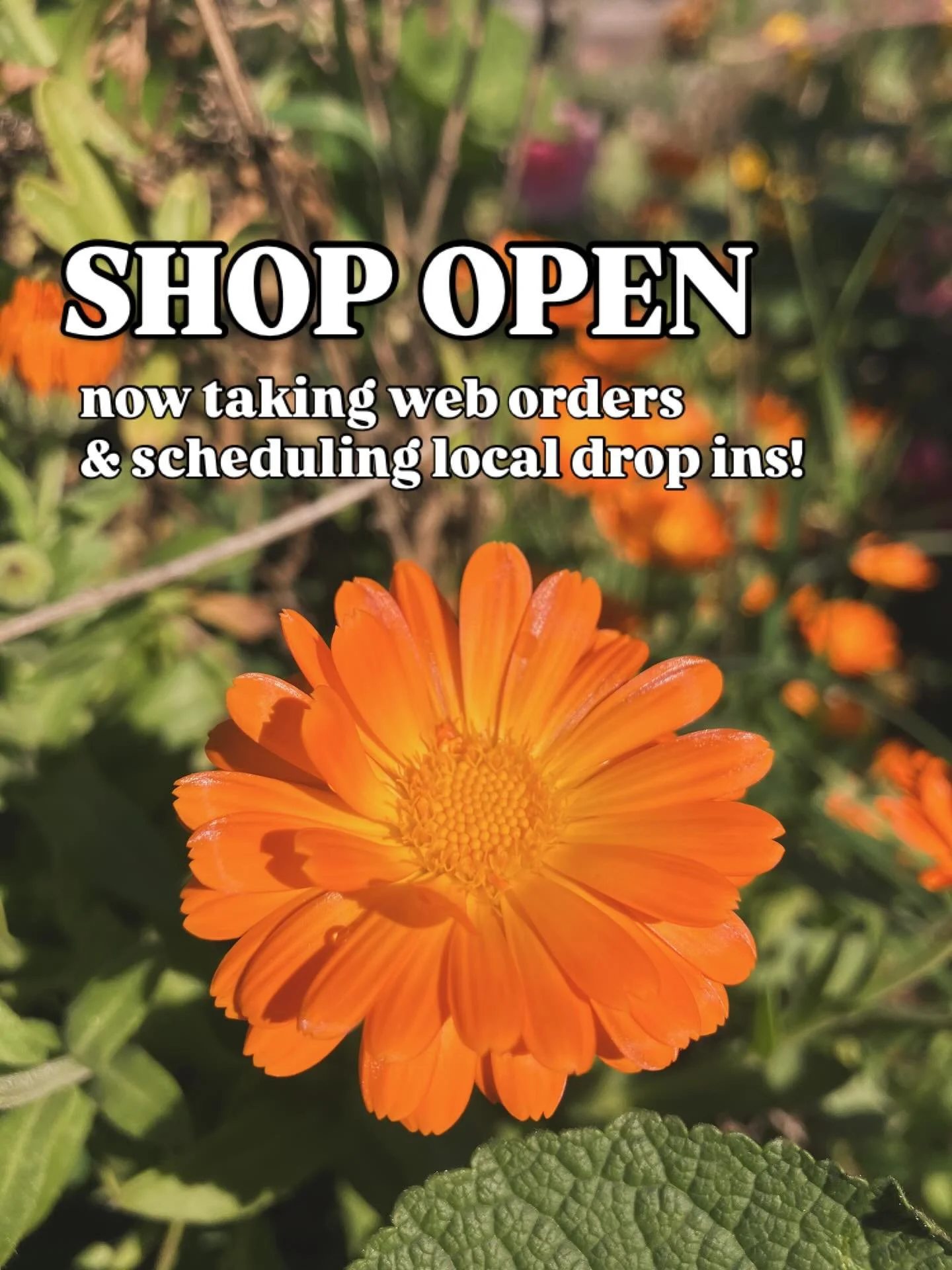 we&rsquo;re back from winter break &amp; ready to start filling orders again!

i worked overtime most of november and december in order to take some time off during kiddo&rsquo;s winter break and it was really really stressful but i think 100% worth 