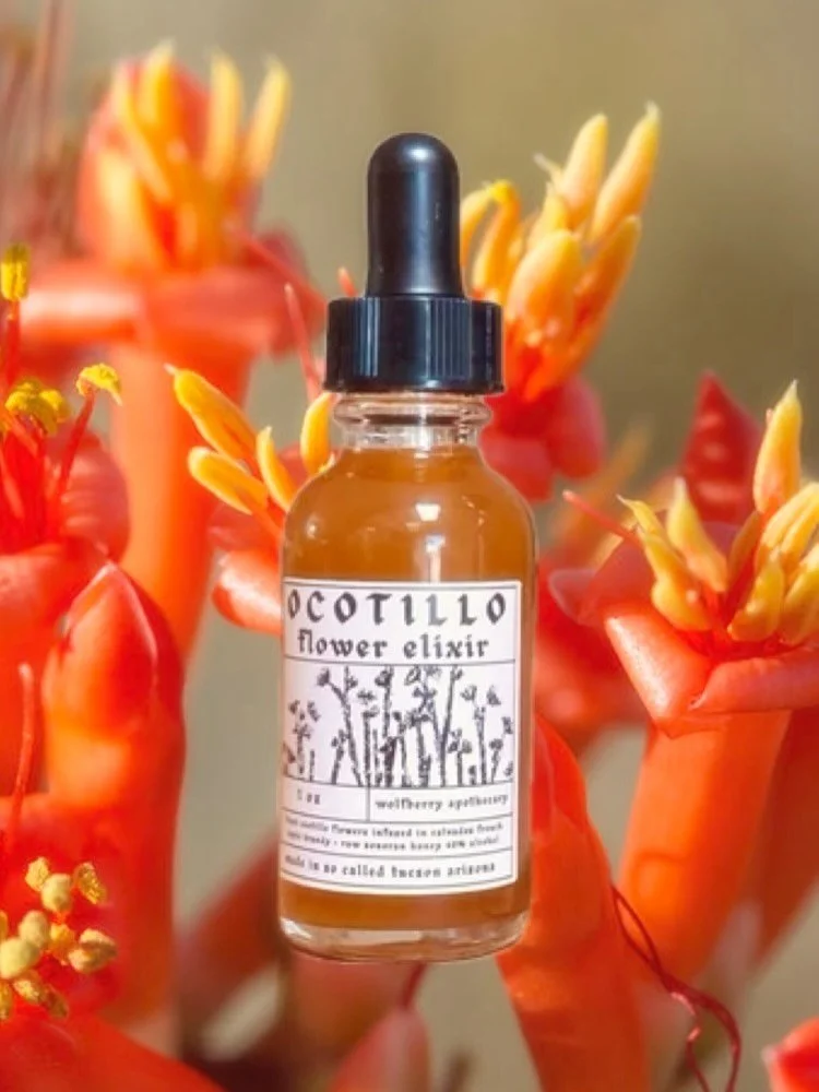 little restock of this precious medicine available now!

OCOTILLO FLOWER ELIXIR

a combination of fresh flowers infused in raw sonoran desert honey and fresh flowers infused in decadent + absurdly floral calvados french apple brandy (40% alcohol)

he