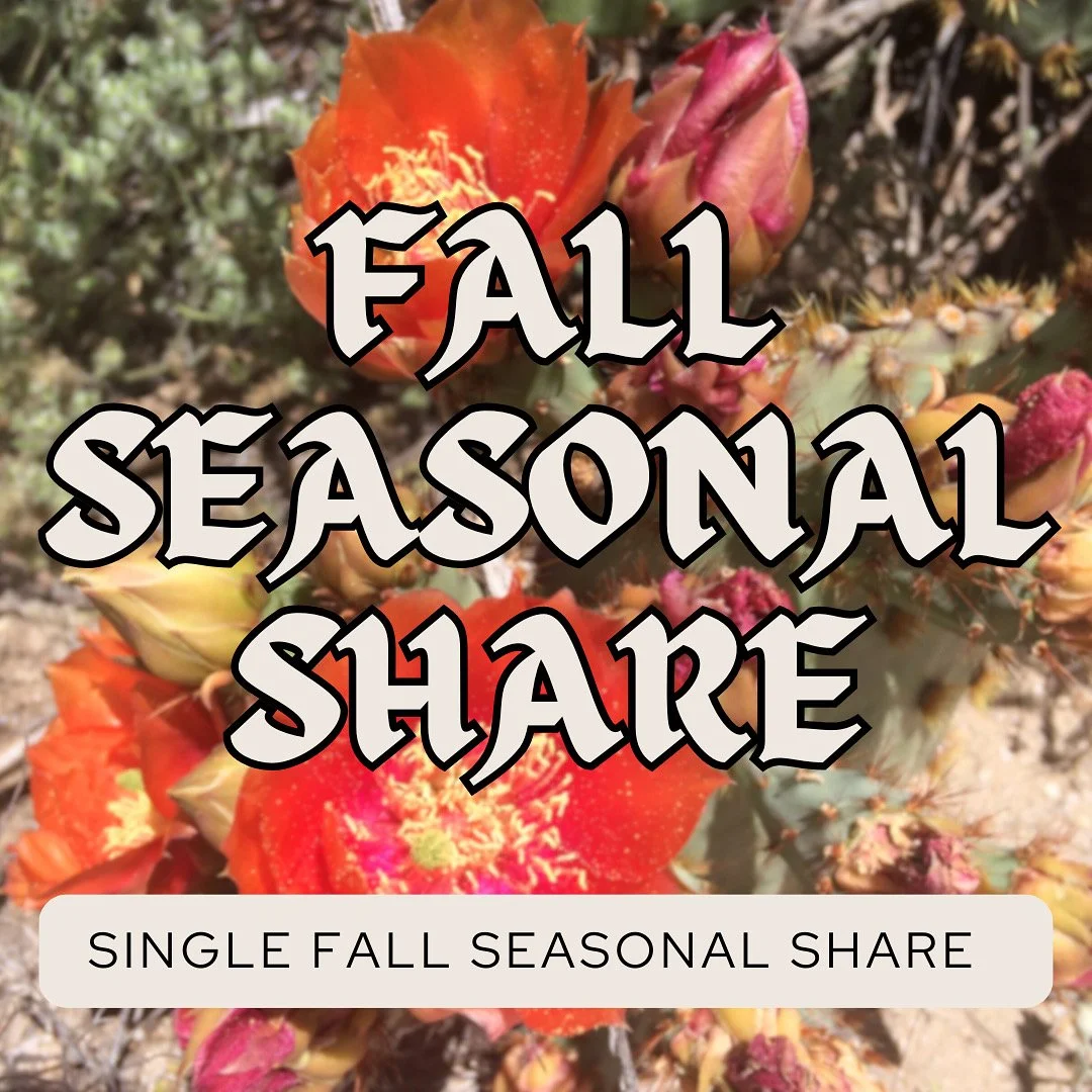 Fall Seasonal Share