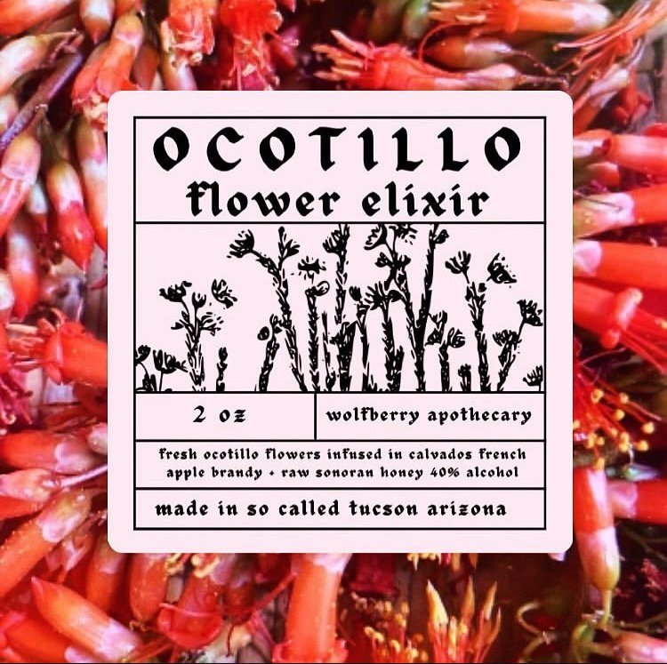 Ocotillo flower elixir