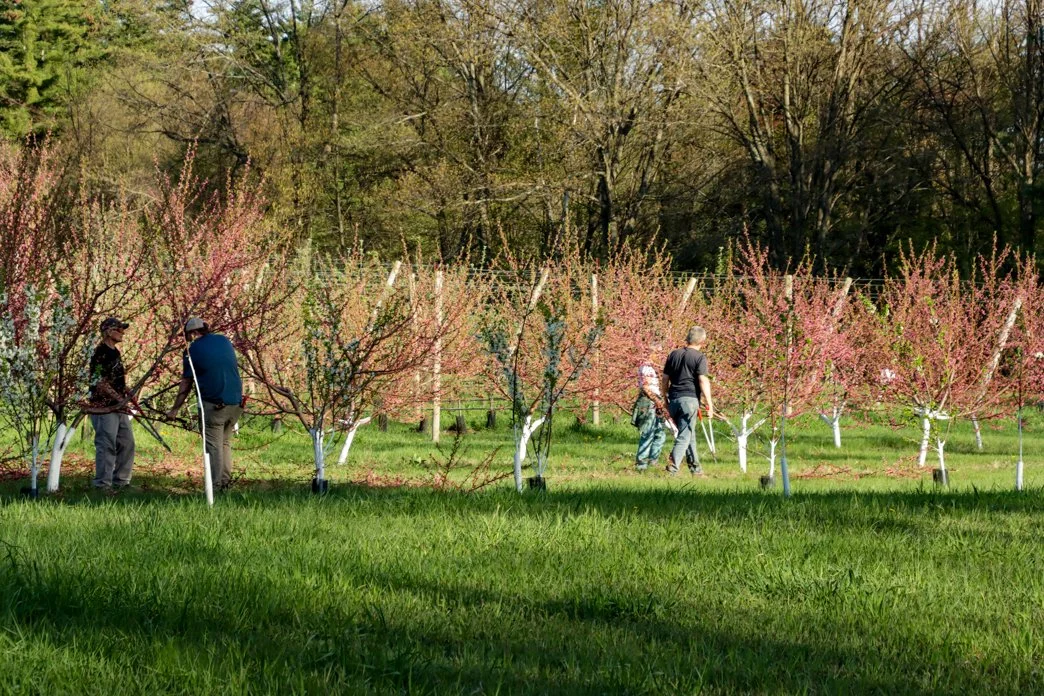 Newsletter — BranchOutBurlington!
