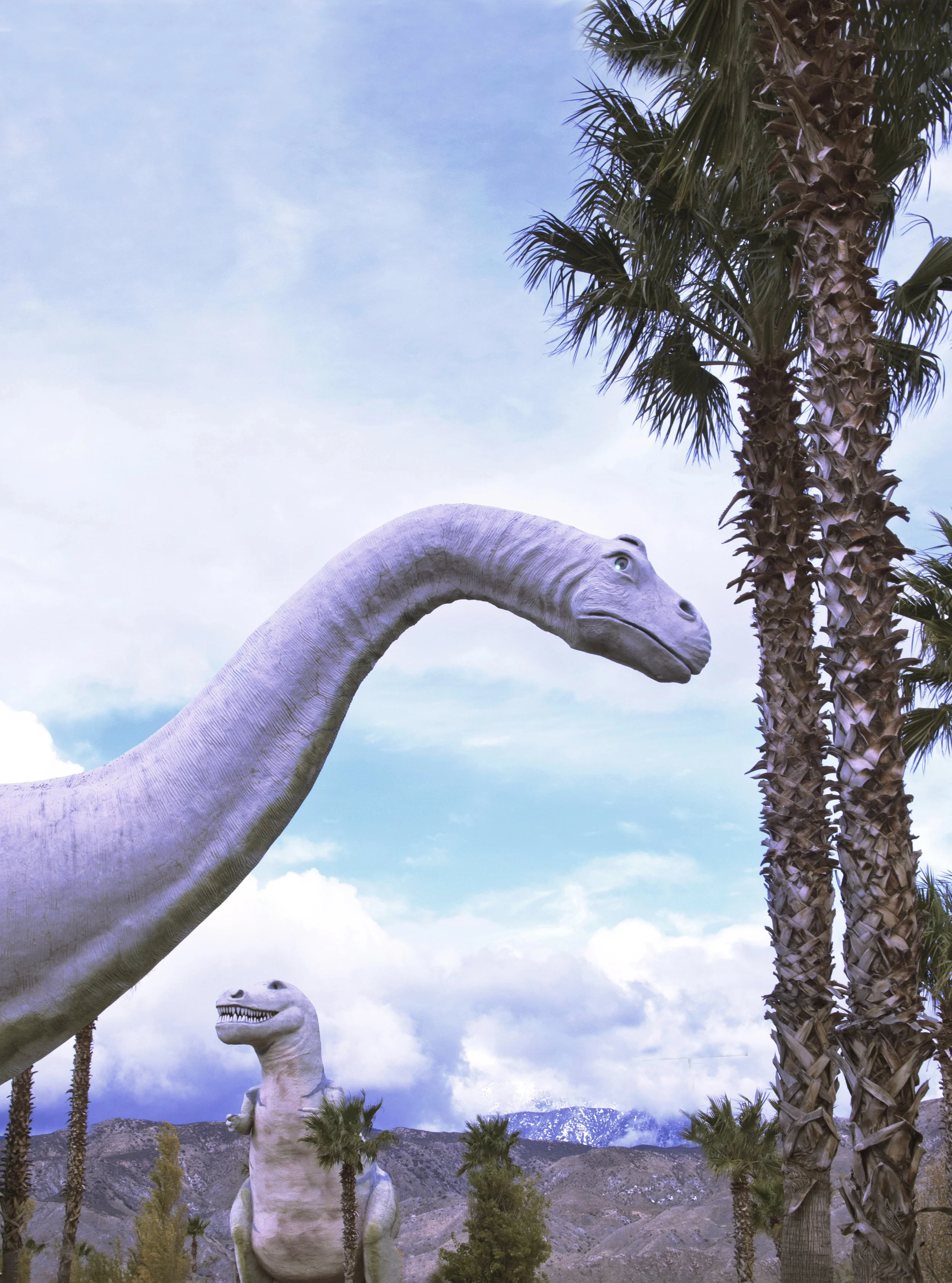 Lot Lizards.JPG