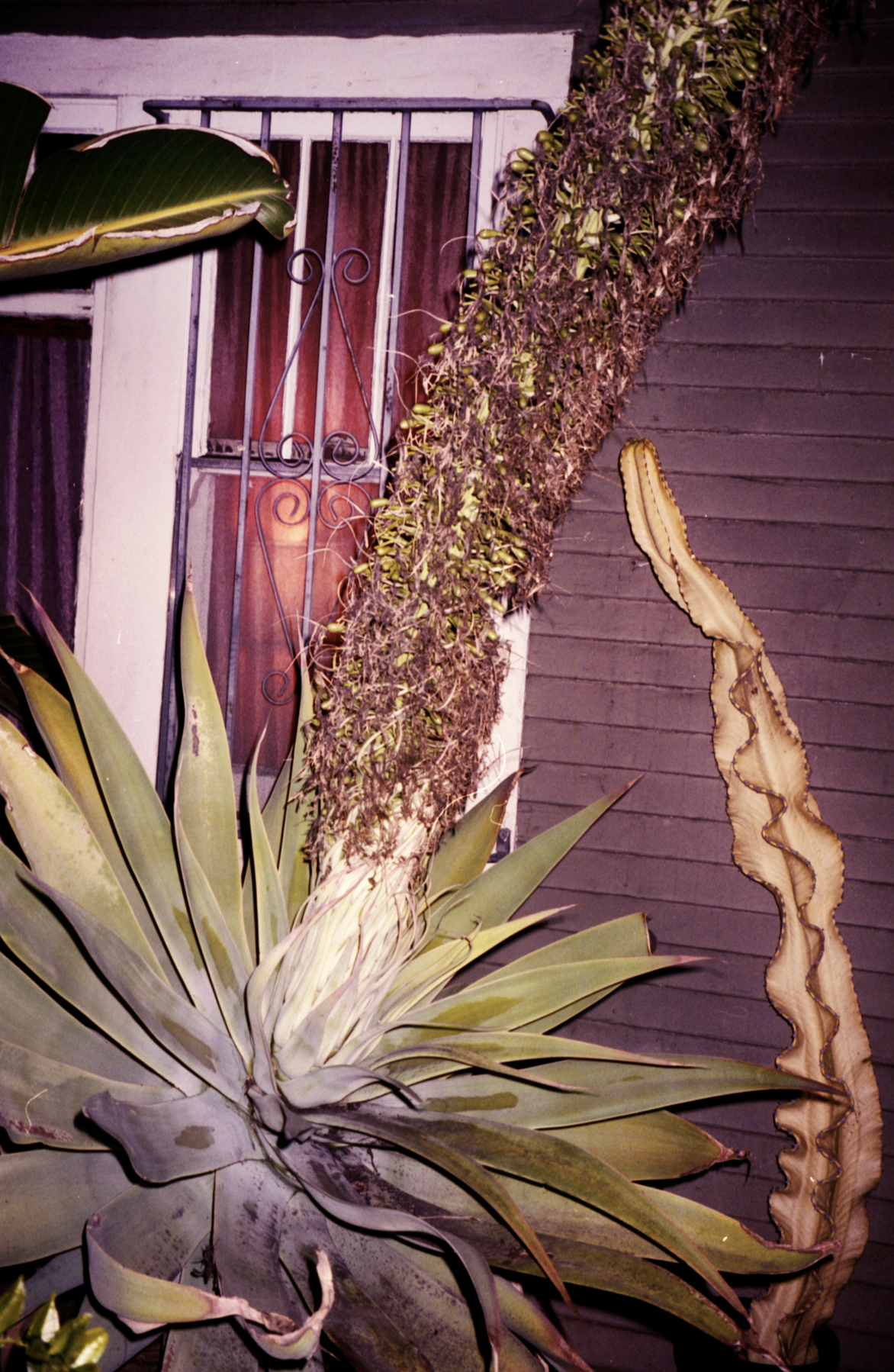 Screenshot 2026-01-09 at 4.27.55 PM.png