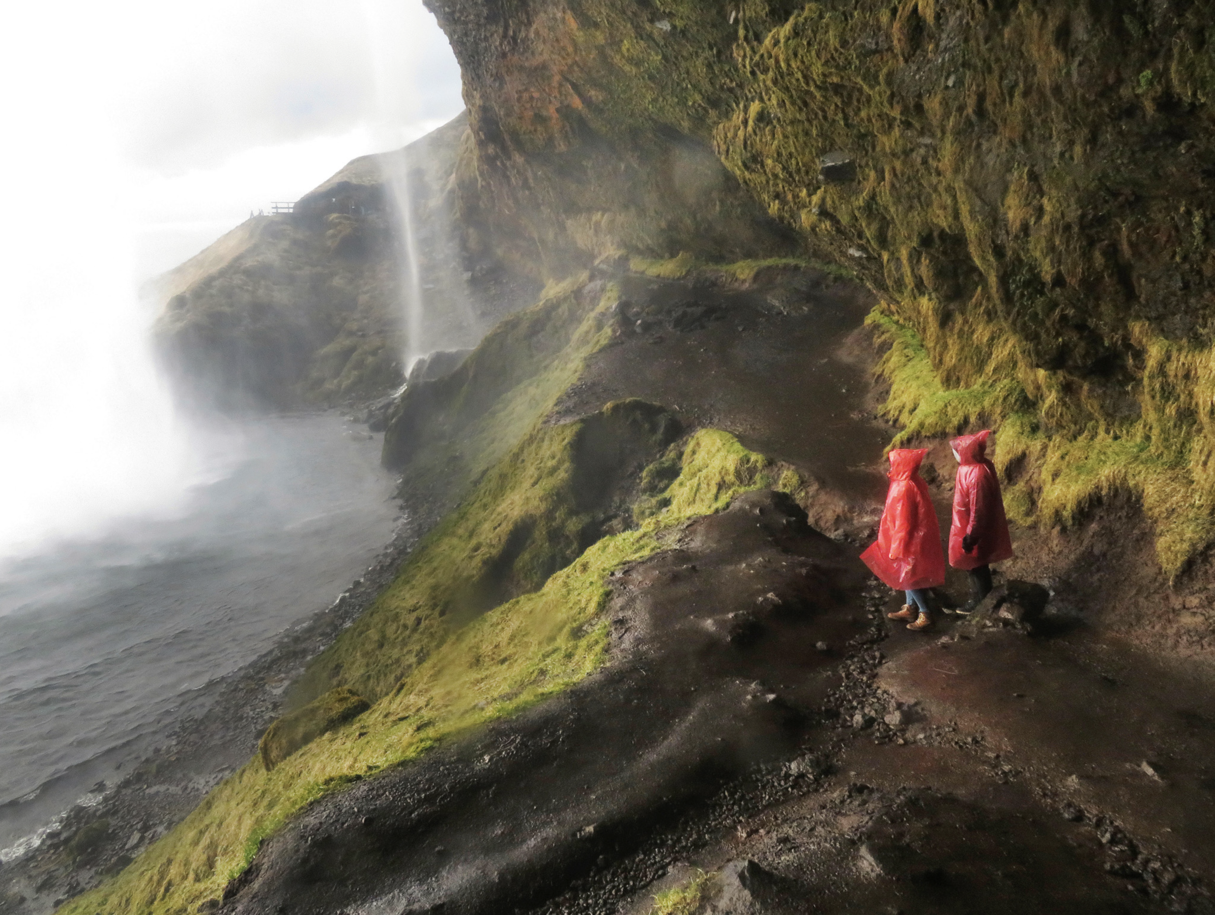 Screenshot 2026-01-09 at 4.26.39 PM.png