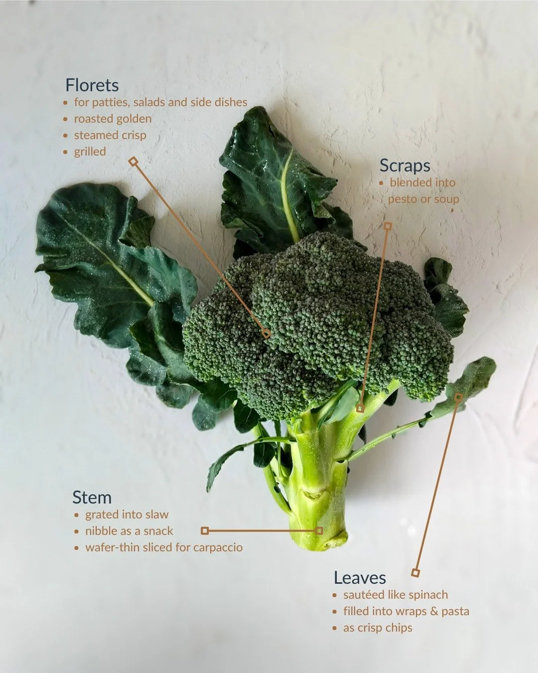 Think broccoli is just florets? Let&rsquo;s rewrite that story🥦 

At Veceto, we believe in using every part of the harvest. Broccoli is more than florets, its stems, leaves, and even the trimmings can shine when you know how to treat them.

✨ Floret