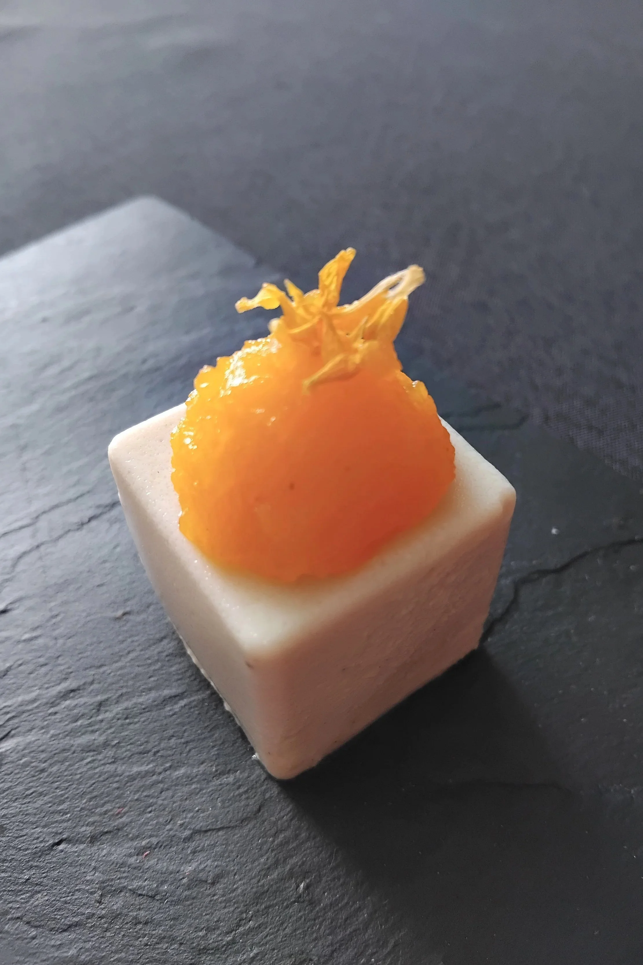Precise edible cube on slate plate, mineral surface tension, tactile materiality, detail from Mycelium Cellar installation.