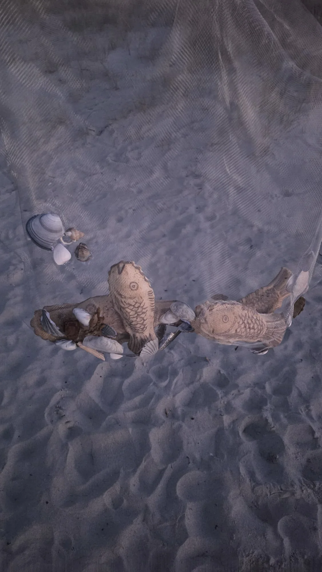 VECETO: Bread sculpture, net installation. Fish and shells settle together, a second cluster resting apart.