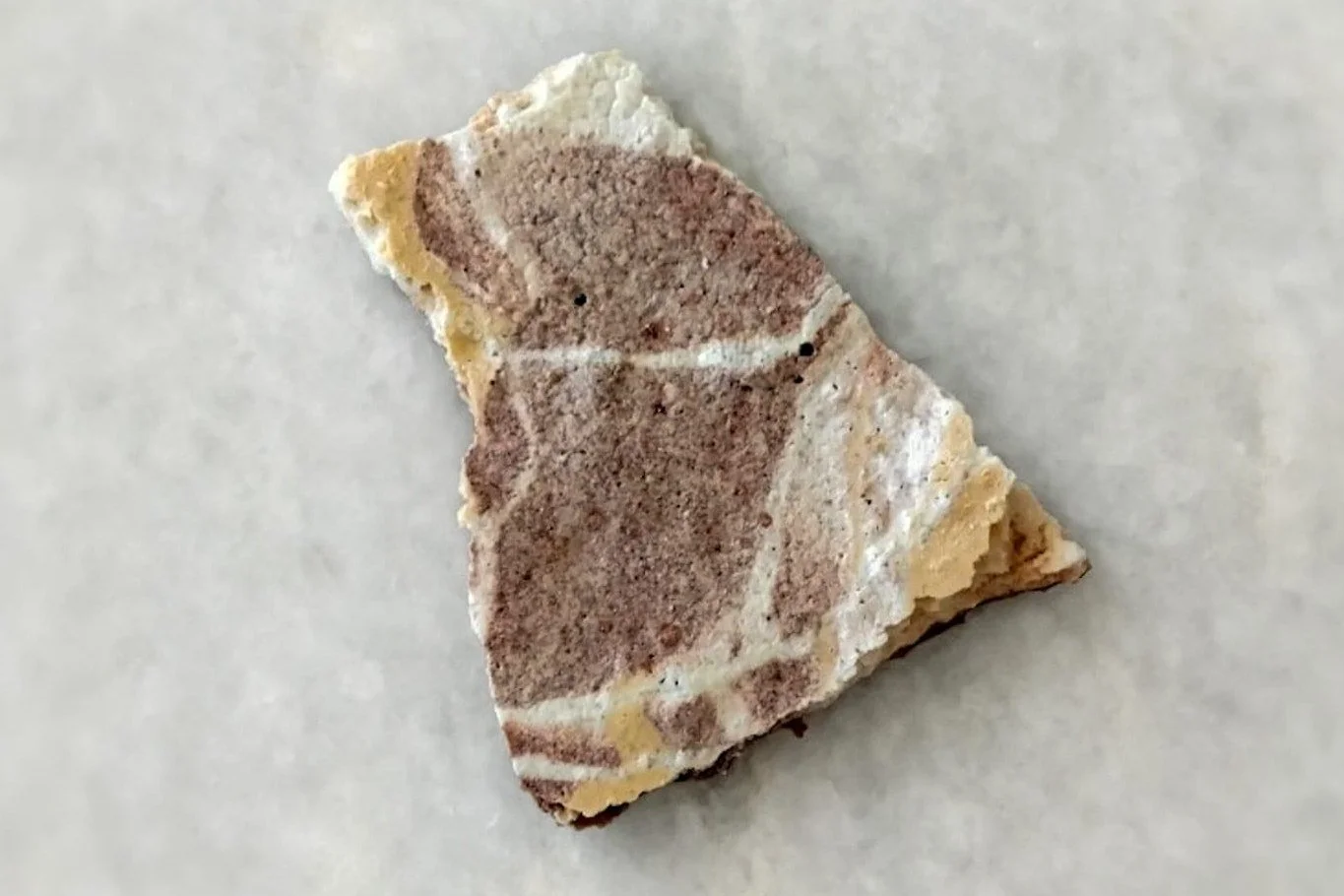 VECETO: Edible invitations, trompe l'oeil food. Broken veined fragment, brown ground with white and ochre lines.