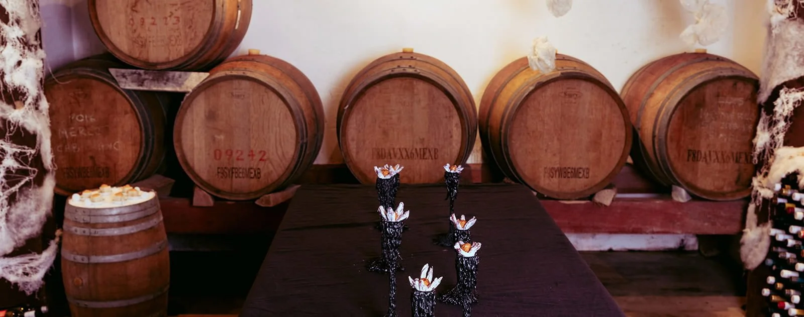 VECETO: Archetypal space, wool threads across cellar beams. Growth suggested, never literally grown.