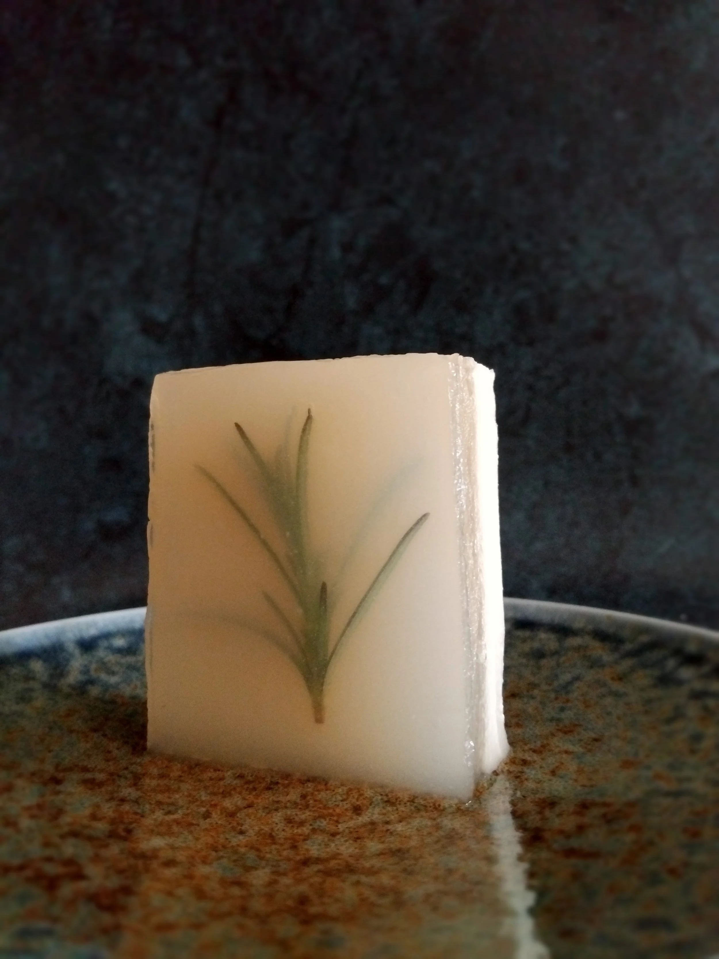 Veceto: Translucent stratification: rosemary suspended in coconut agar, opaque cream beneath, teal plate with rust oxidation look, food design study
