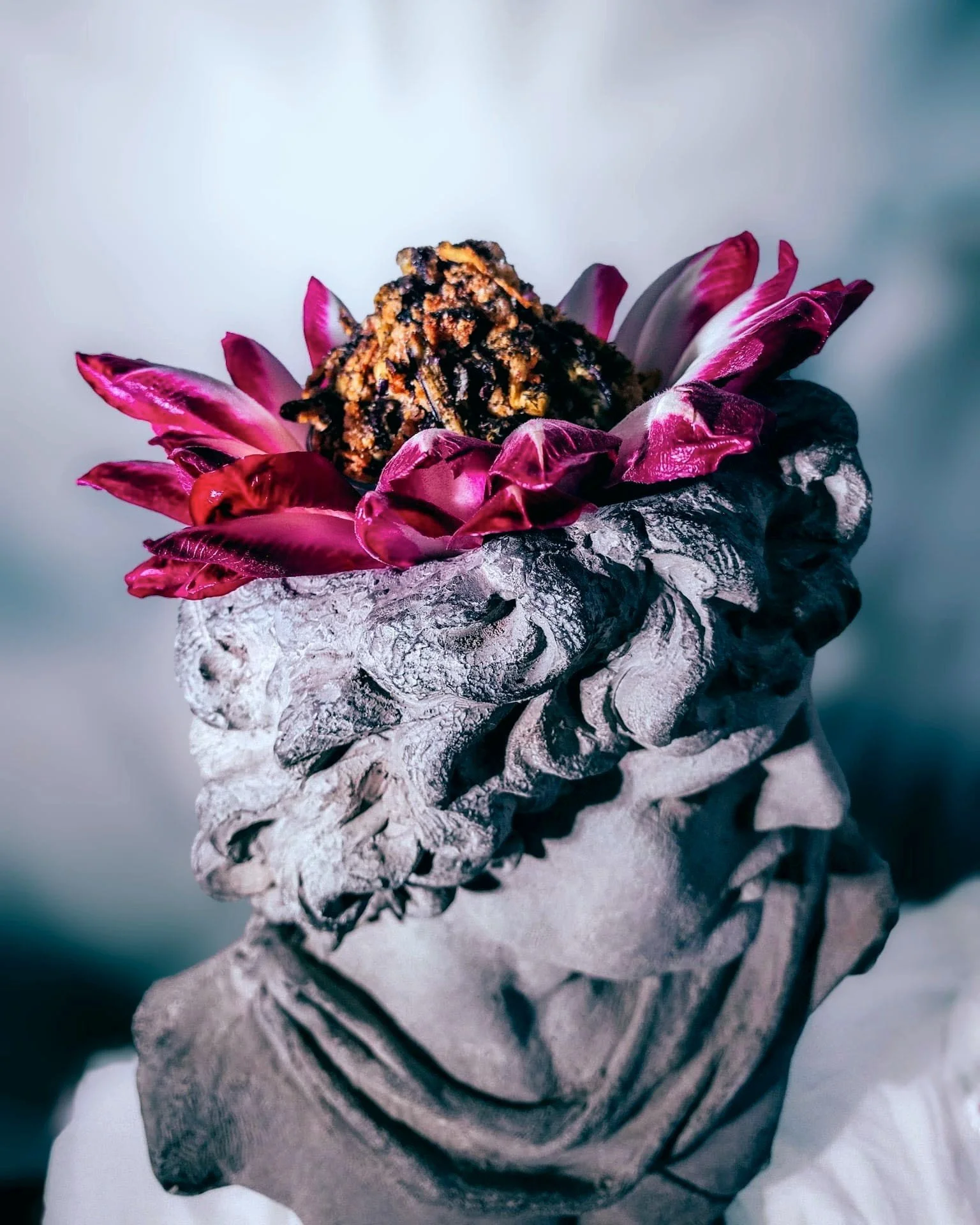 VECETO: Food still life, chicory pink at the tips crowning a grey bust, dark fried strips rising from the head.