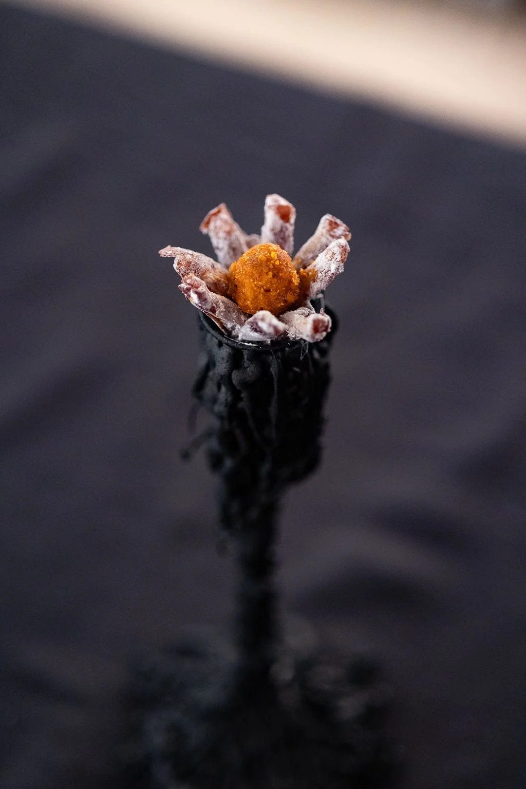 VECETO: Sculptural food installation, candle holder and date flower. Wax kept a drip it will never release again.