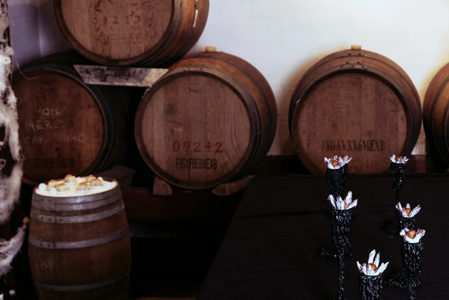 VECETO: Cabinet of curiosities, archetypal space. Wool threads at the edge of a wine cellar, date flowers on black linen.