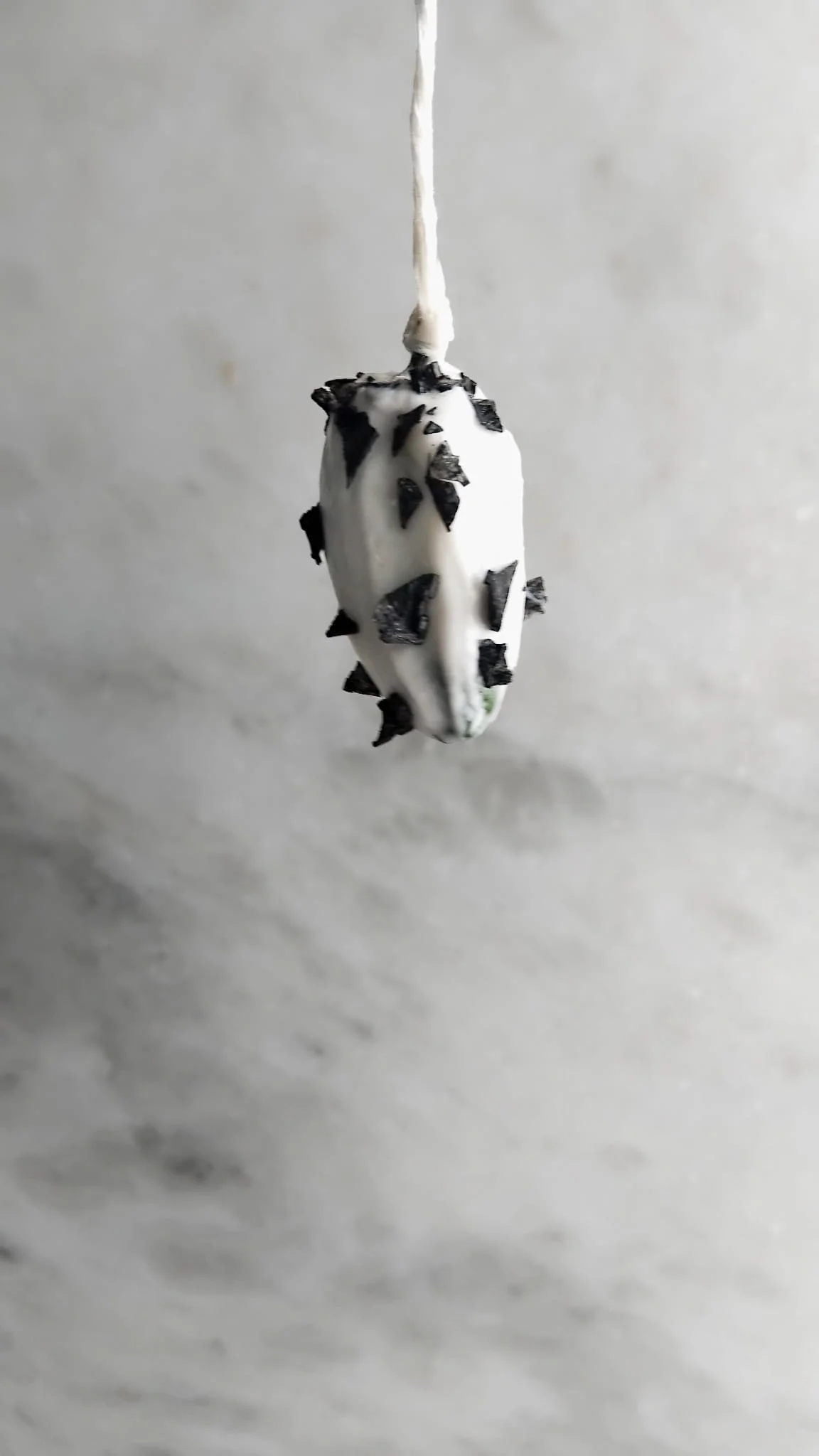 Fermented jalapeno with black salt fine dining technique