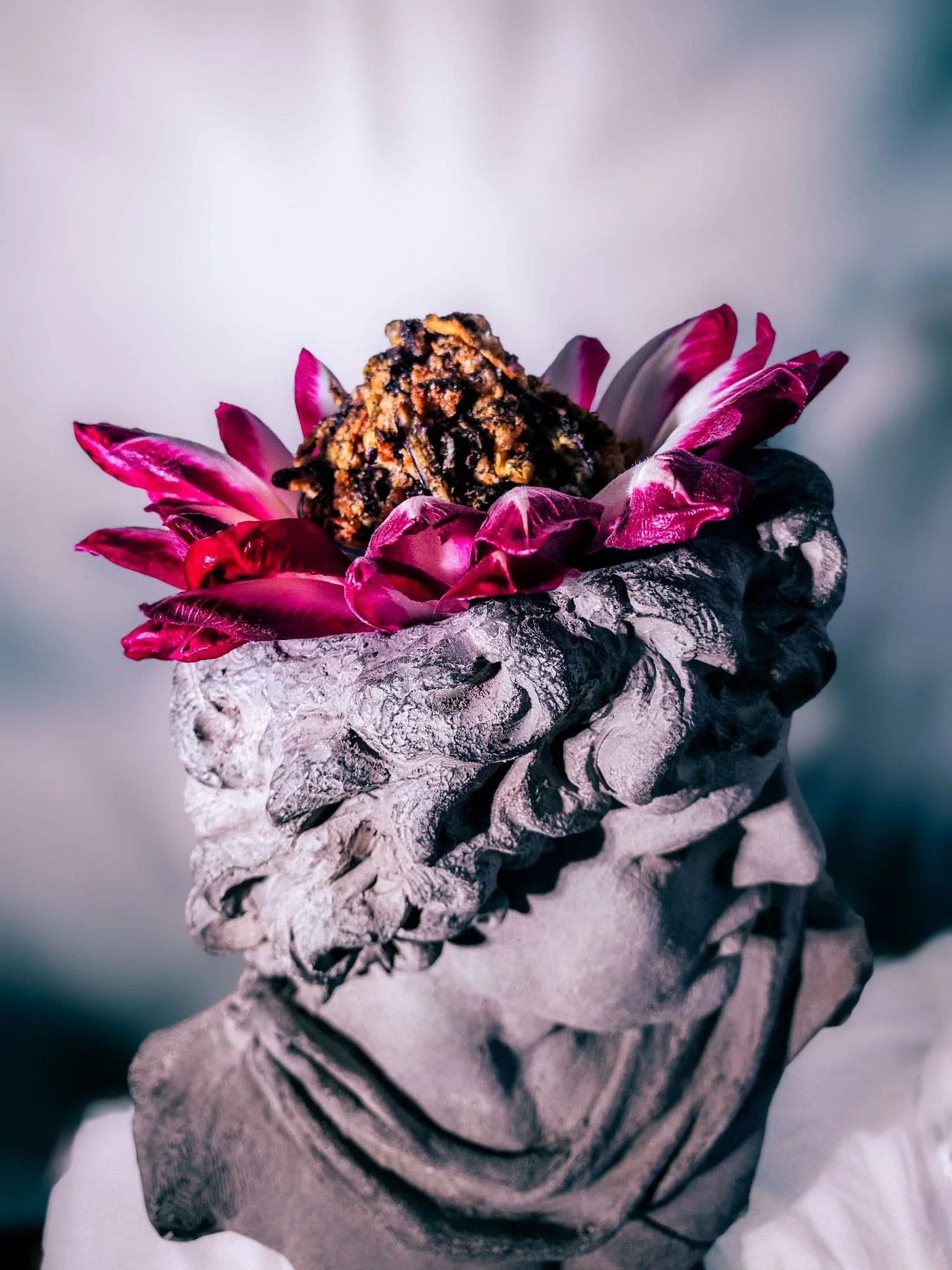 VECETO: Chicory closes the crown, pink at the tips, aubergine rising above it. Gastronomic still life, classical grey