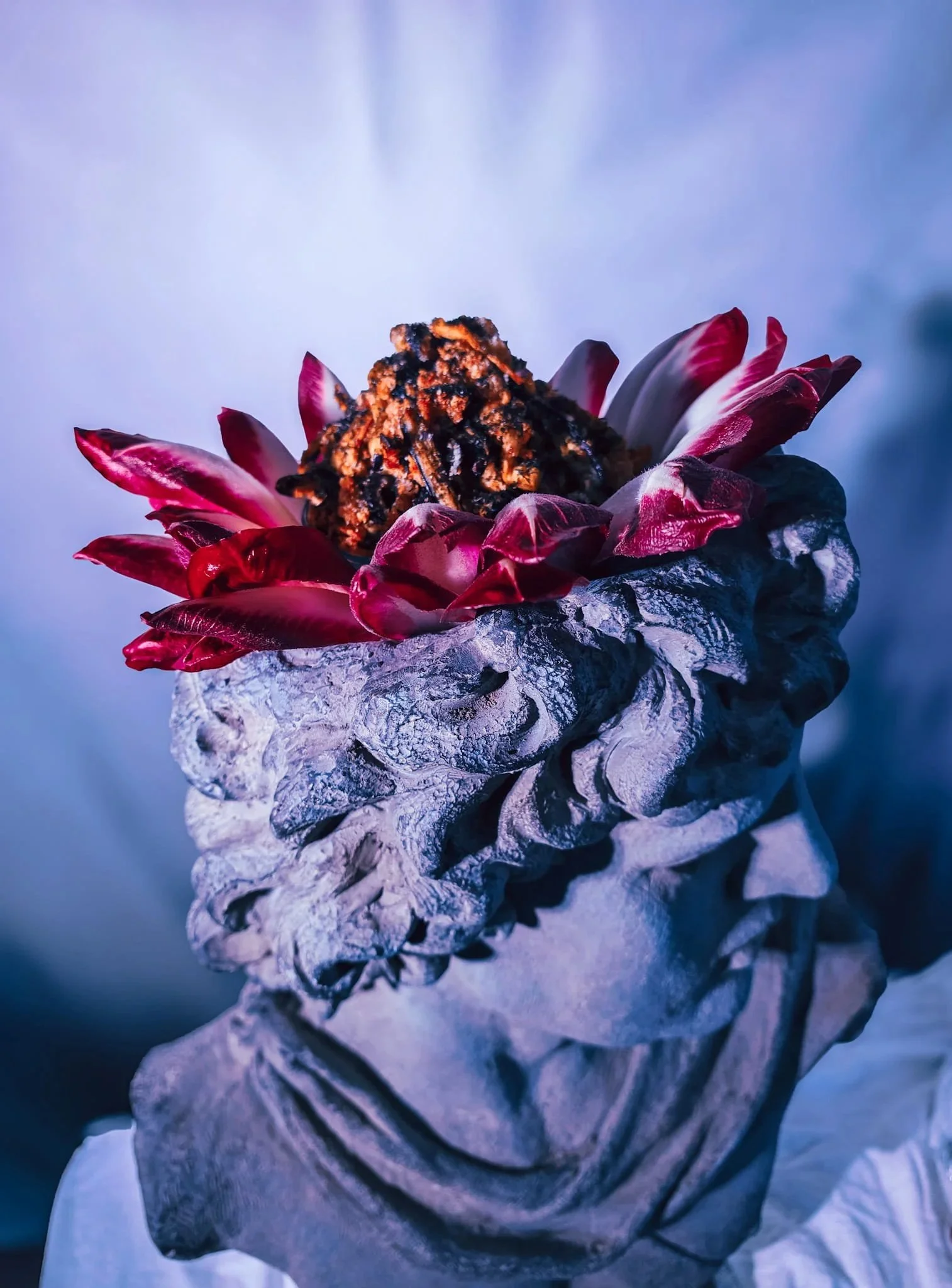 VECETO: Apollo filled at the crown, chicory pink at the tips. Food design studio, edible installations.