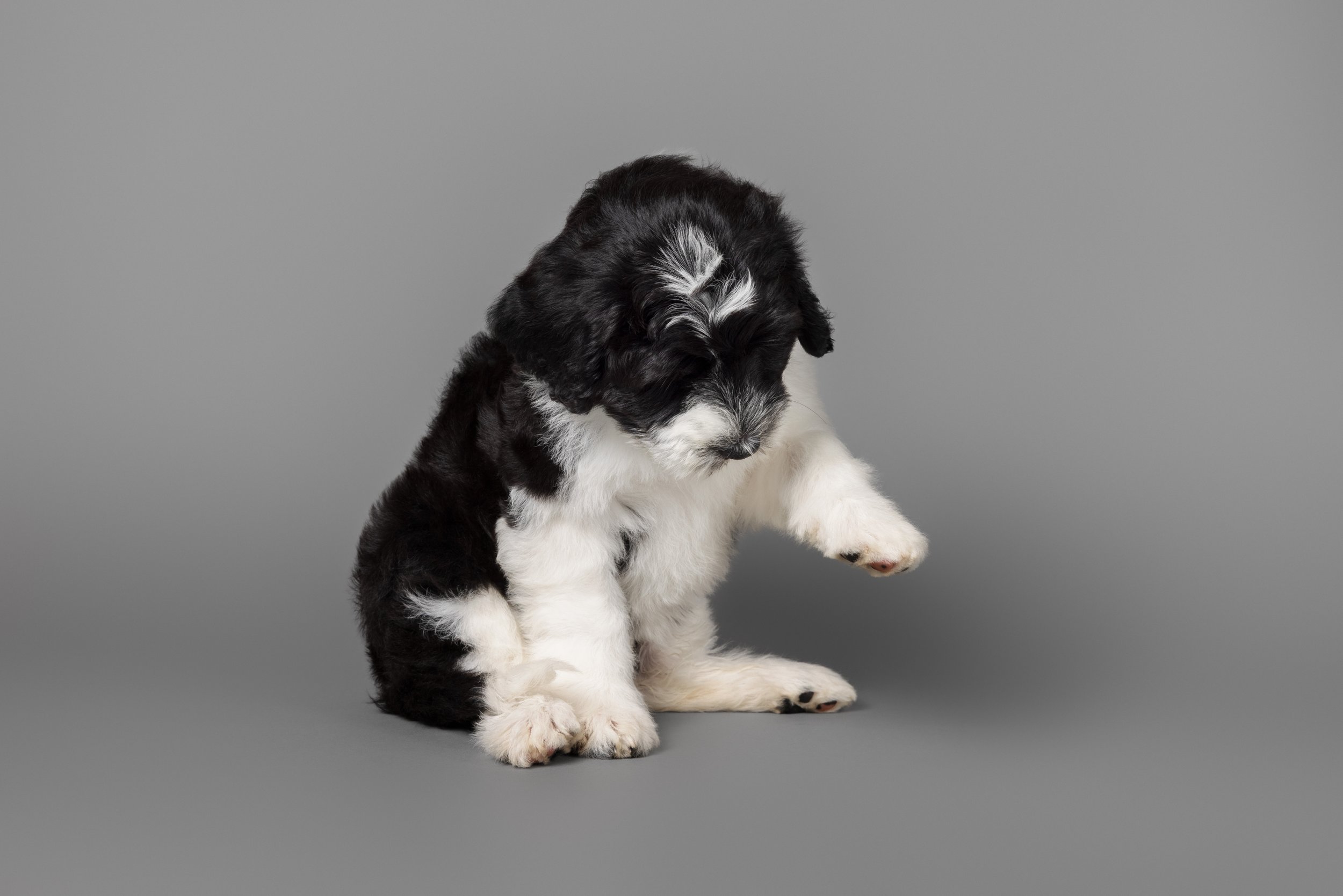 KissLitter-098.jpg