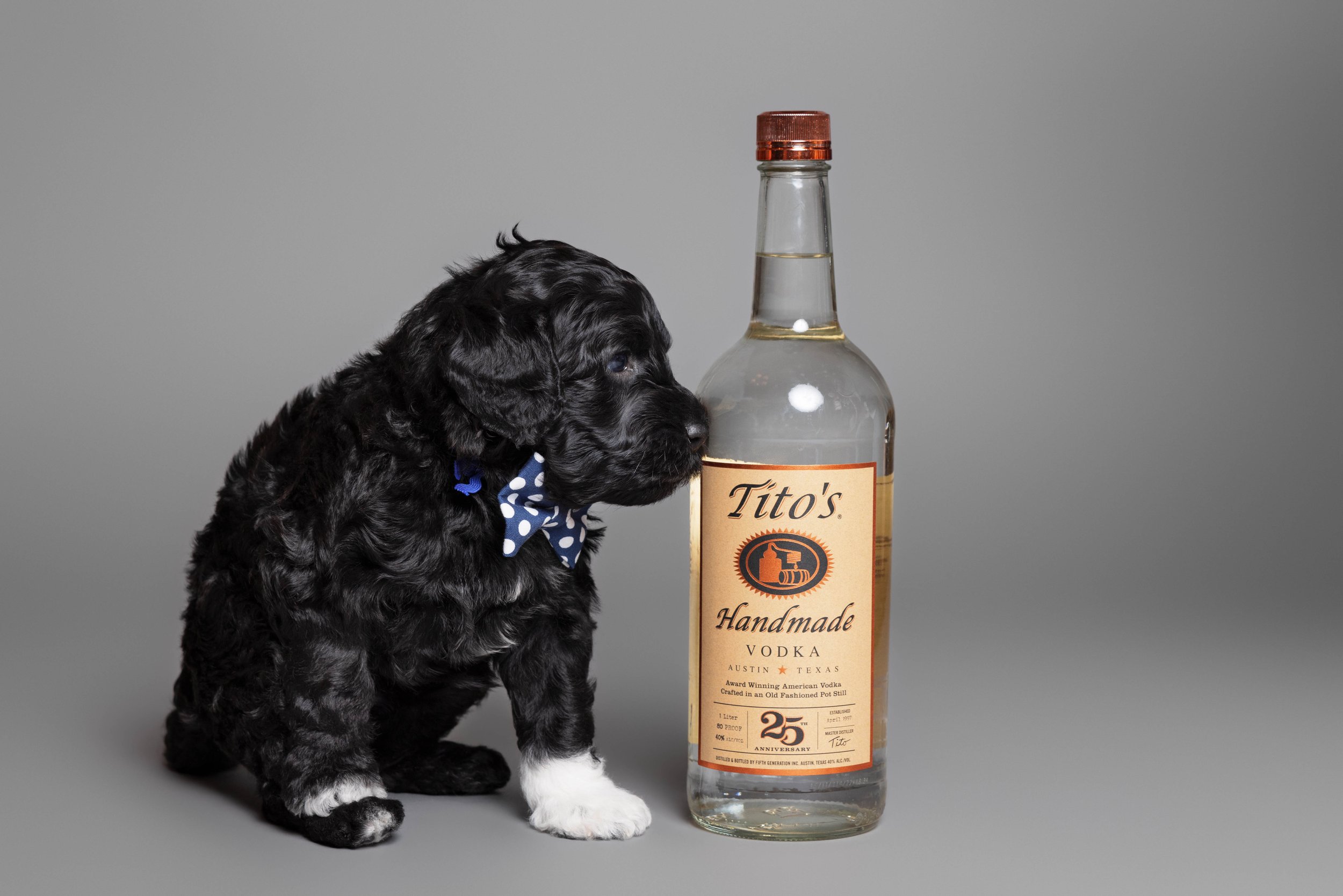 Puppies5Wks-050.jpg