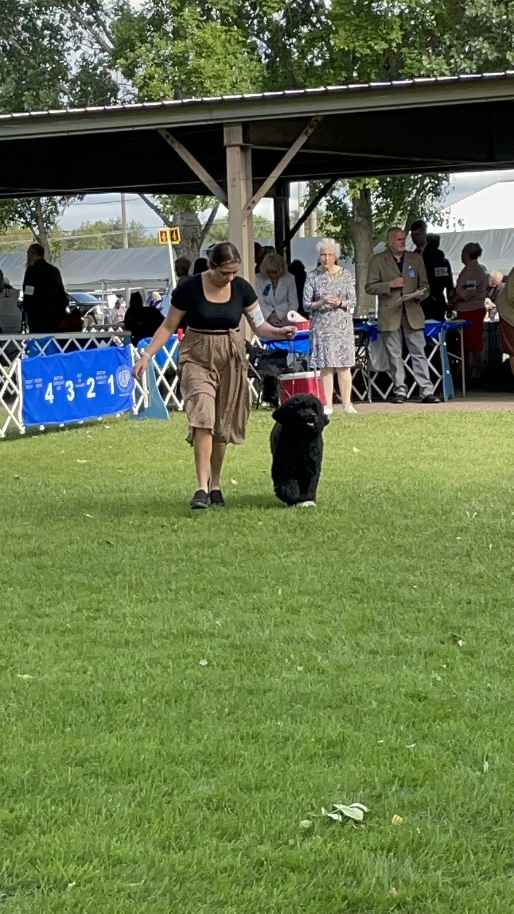 IMG_6999.jpeg