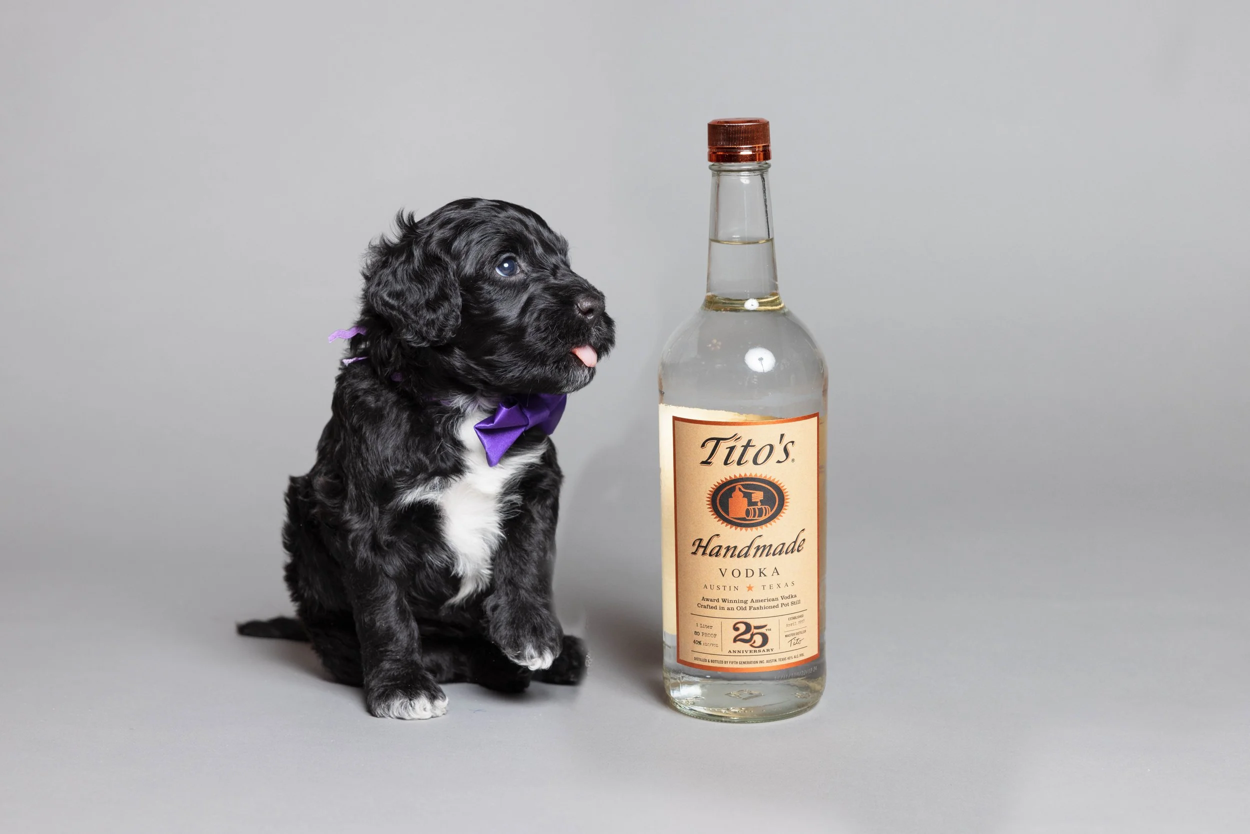 Puppies5Wks-017.jpg