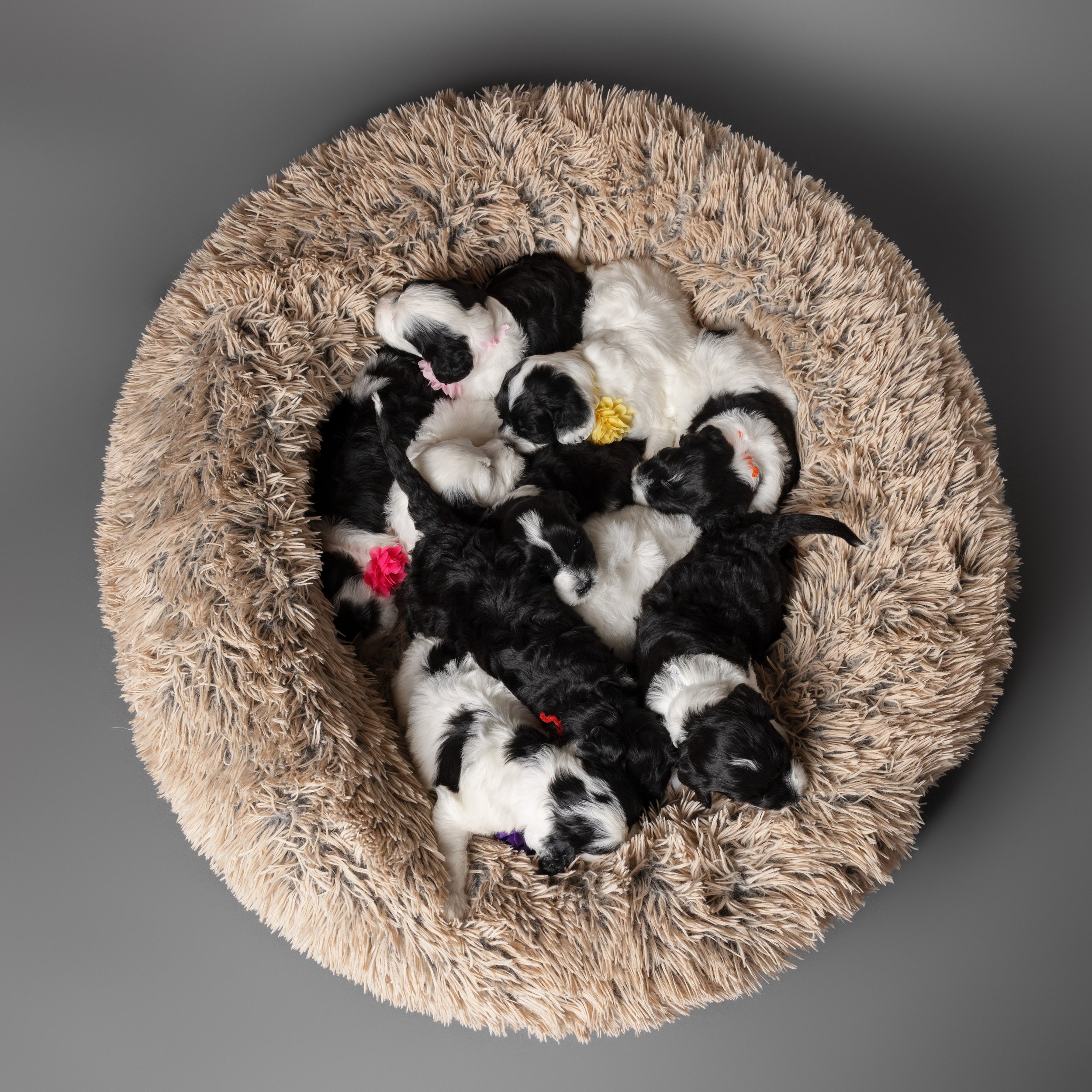 KissLitter-062.jpg