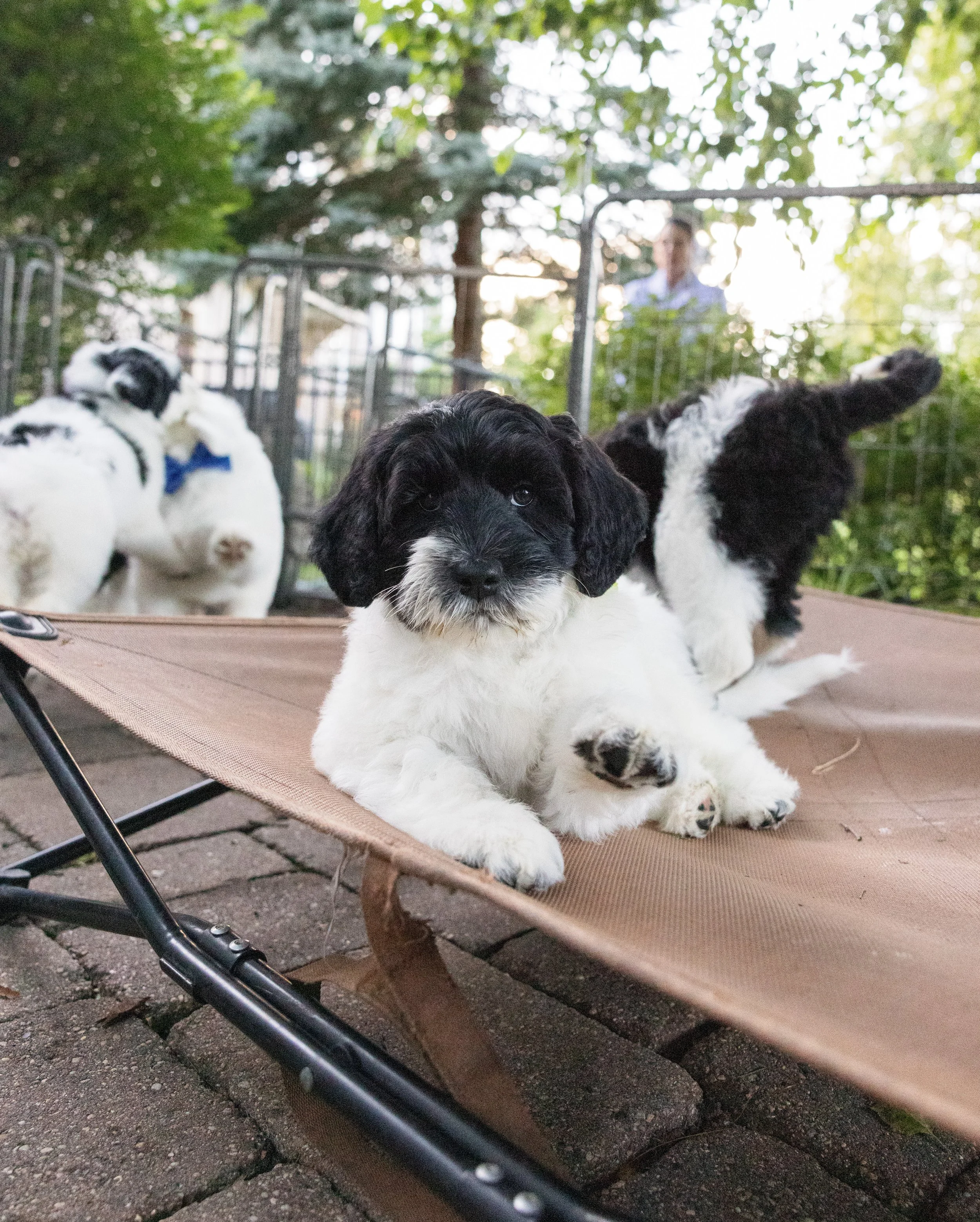 KissLitter-205.jpg