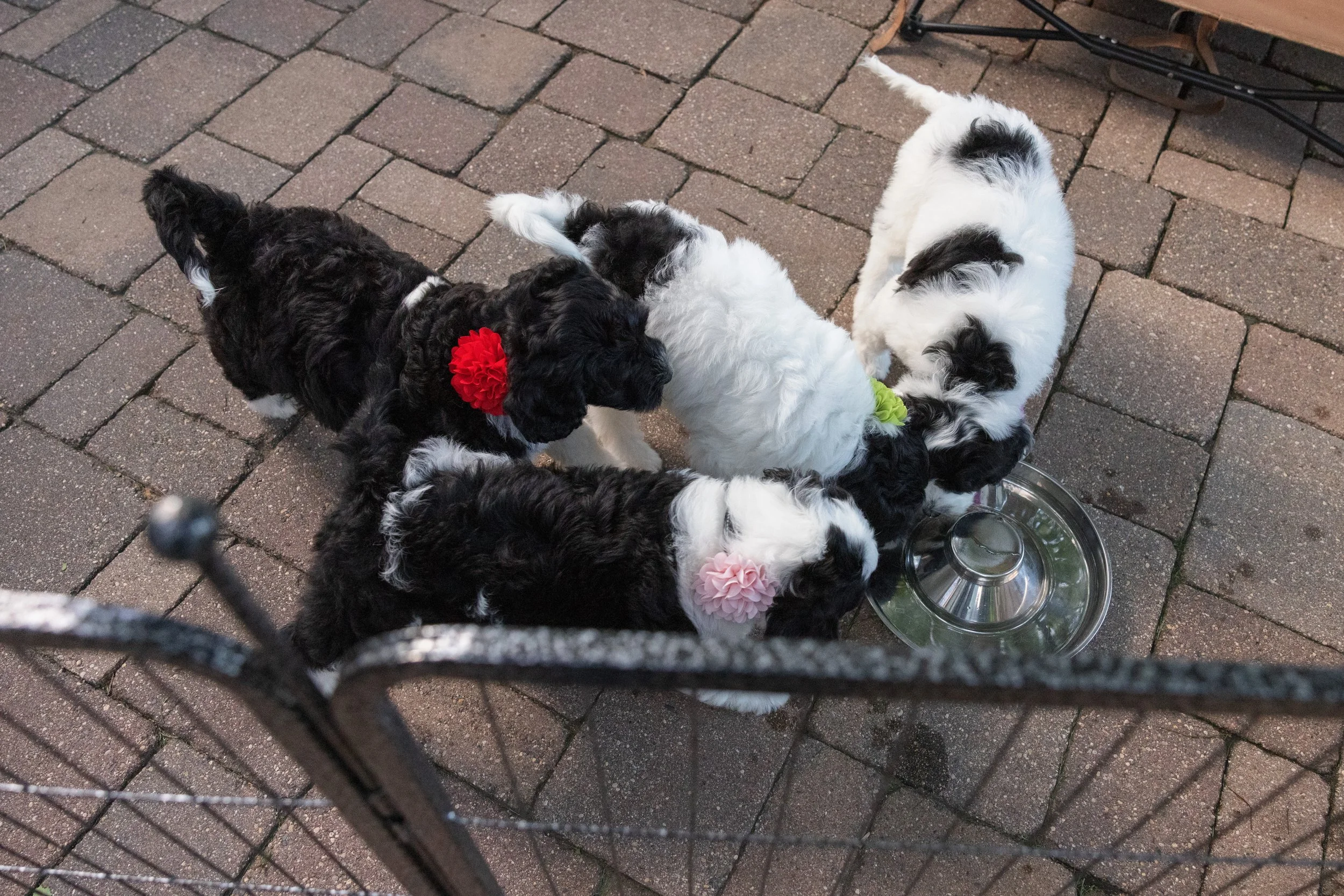 KissLitter-185.jpg