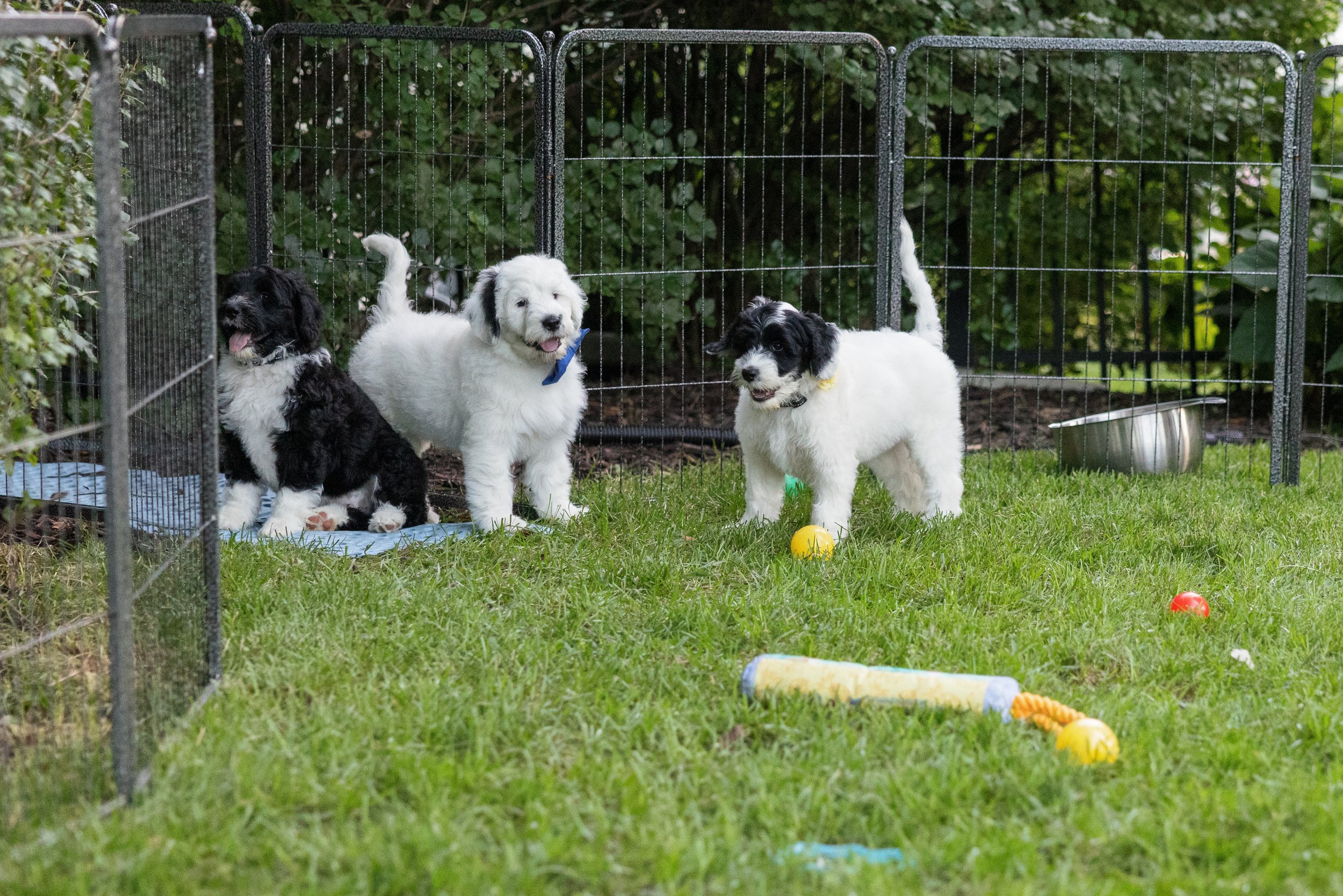 KissLitter-228.jpg