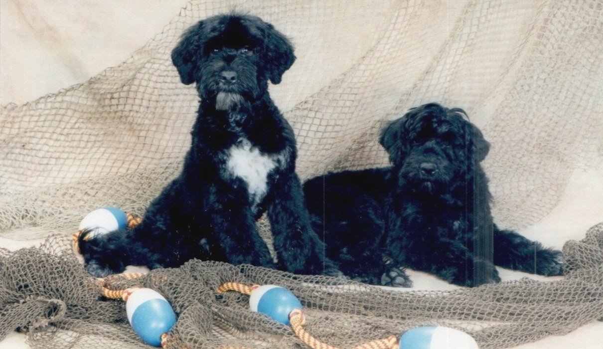 Westley and Olive.JPG