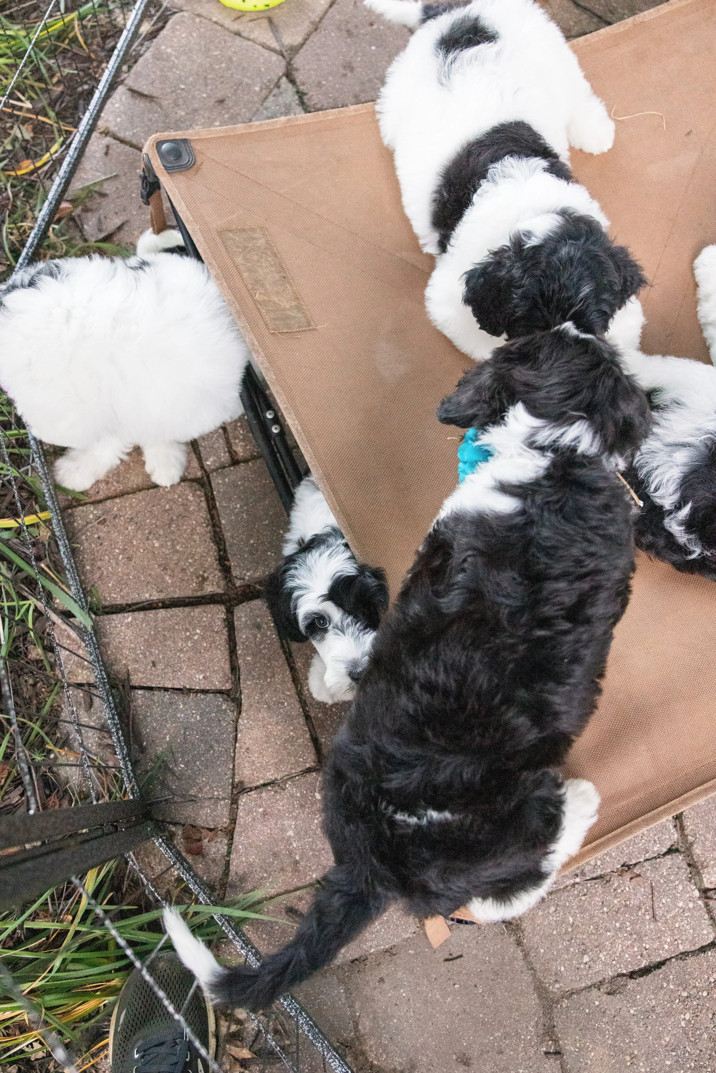 KissLitter-219.jpg