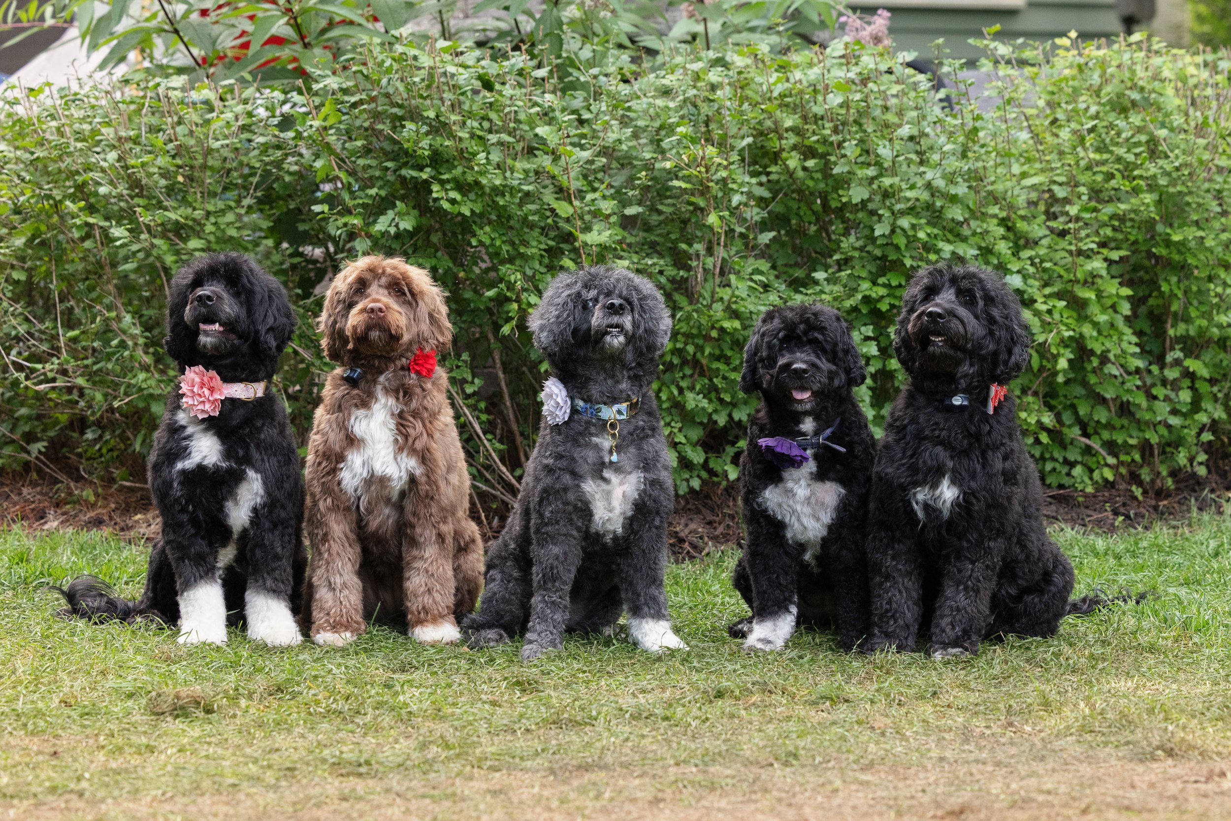 KissLitter-162.jpg