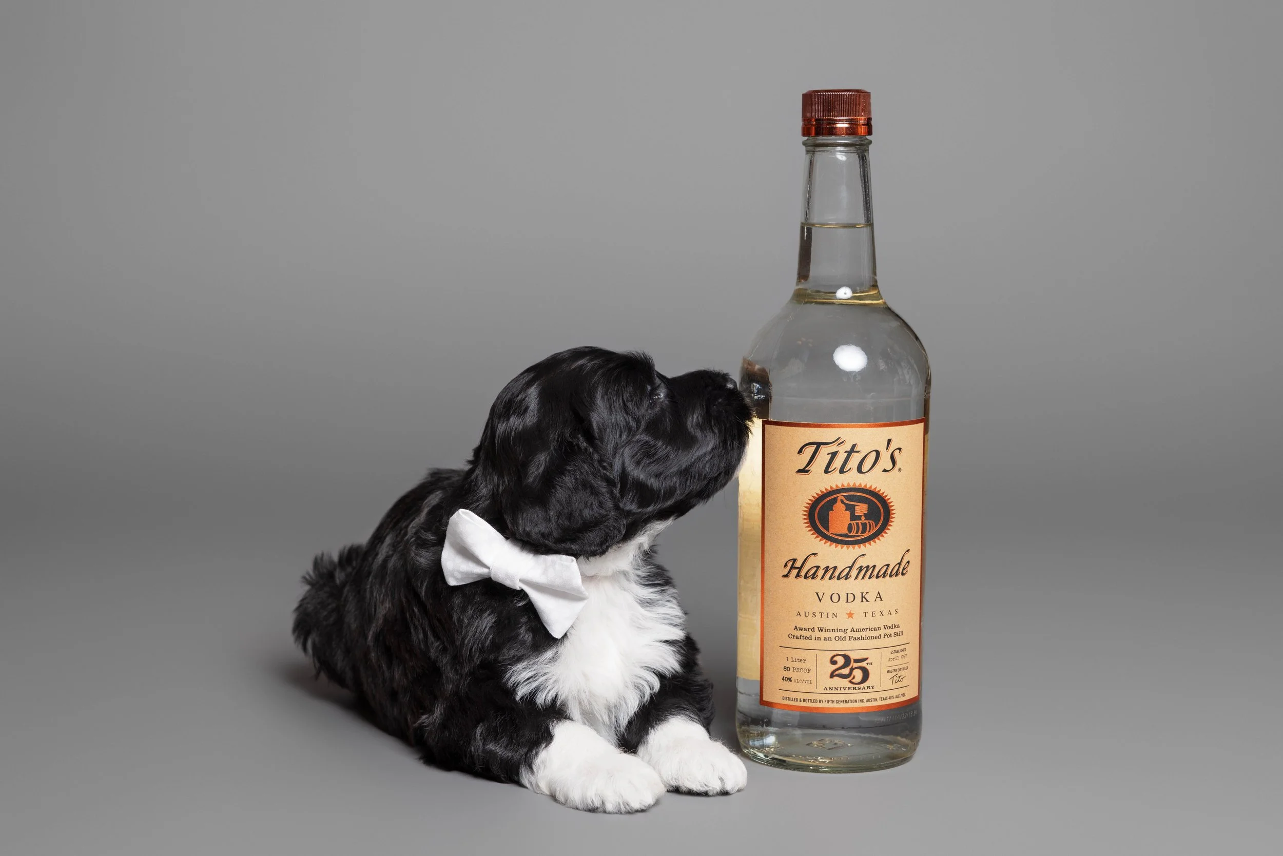 Puppies5Wks-089.jpg