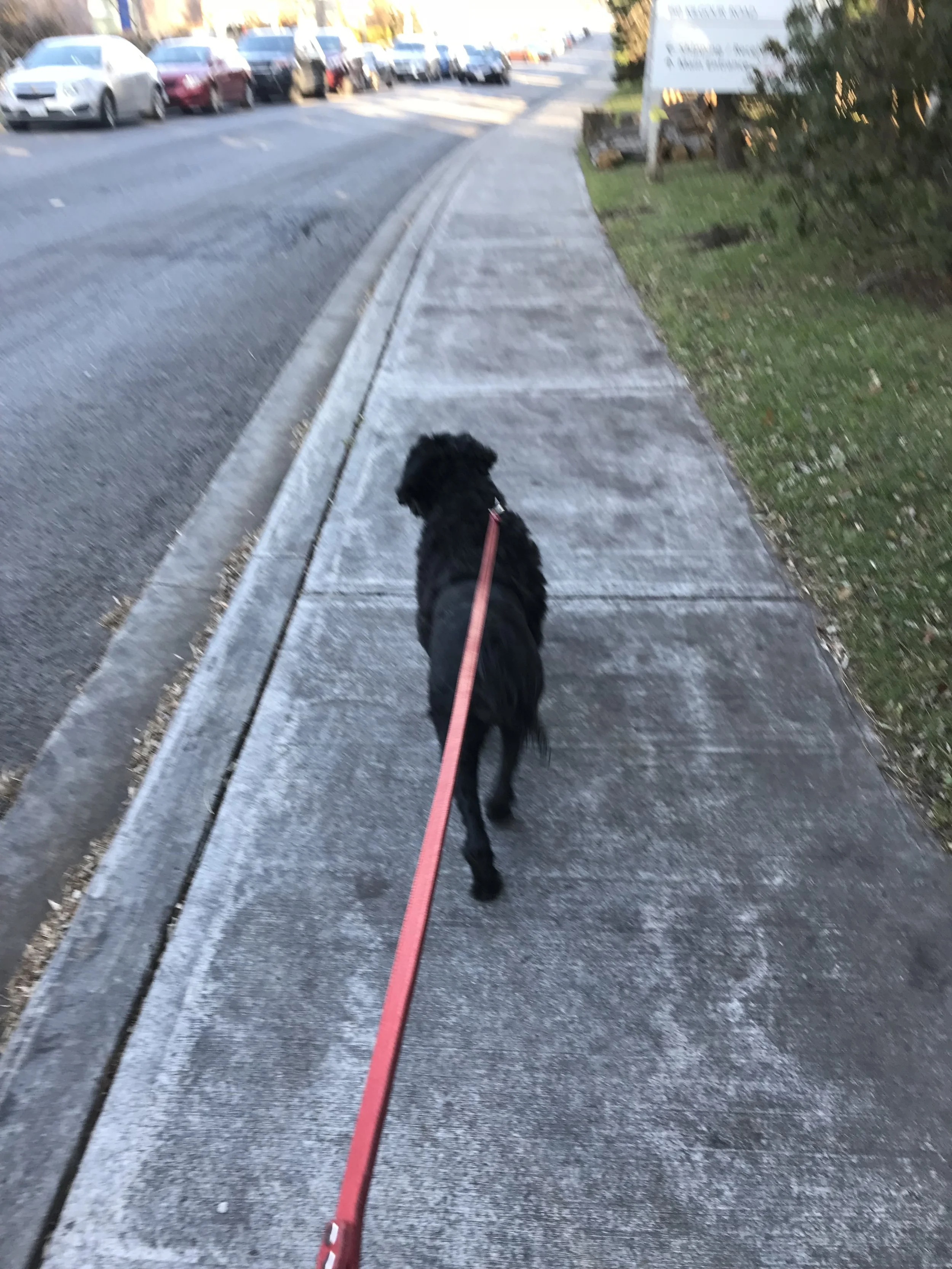 IMG_0577.jpeg