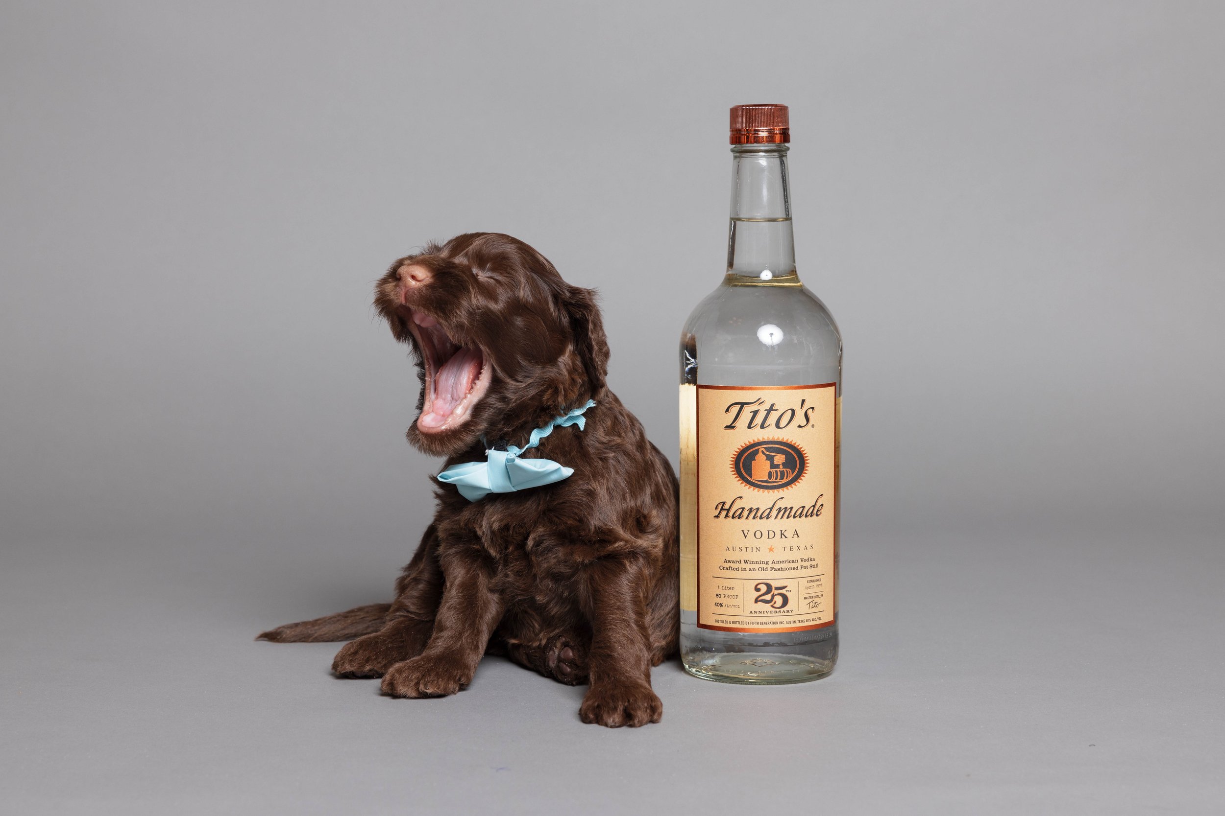 Puppies5Wks-044.jpg