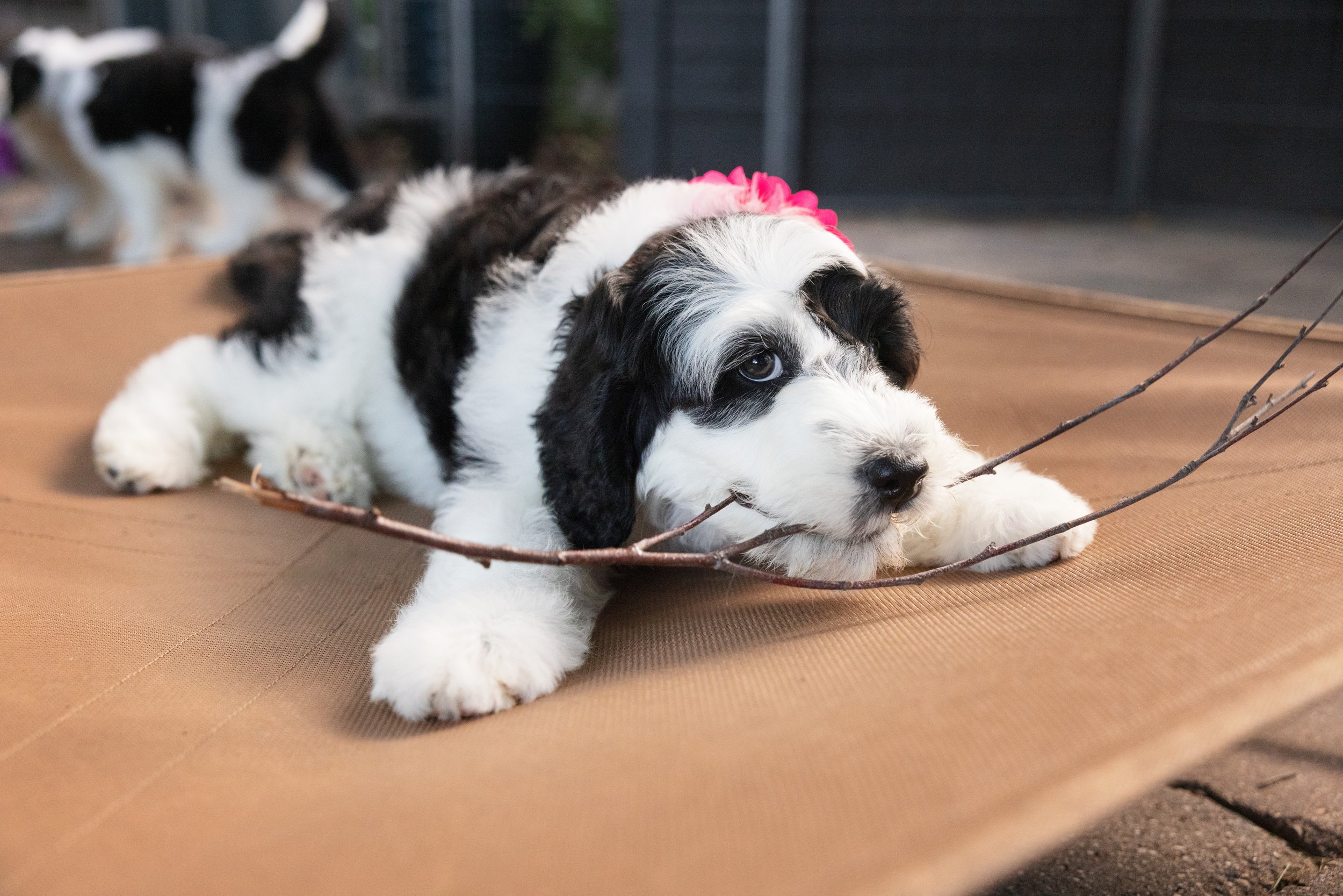 KissLitter-183.jpg