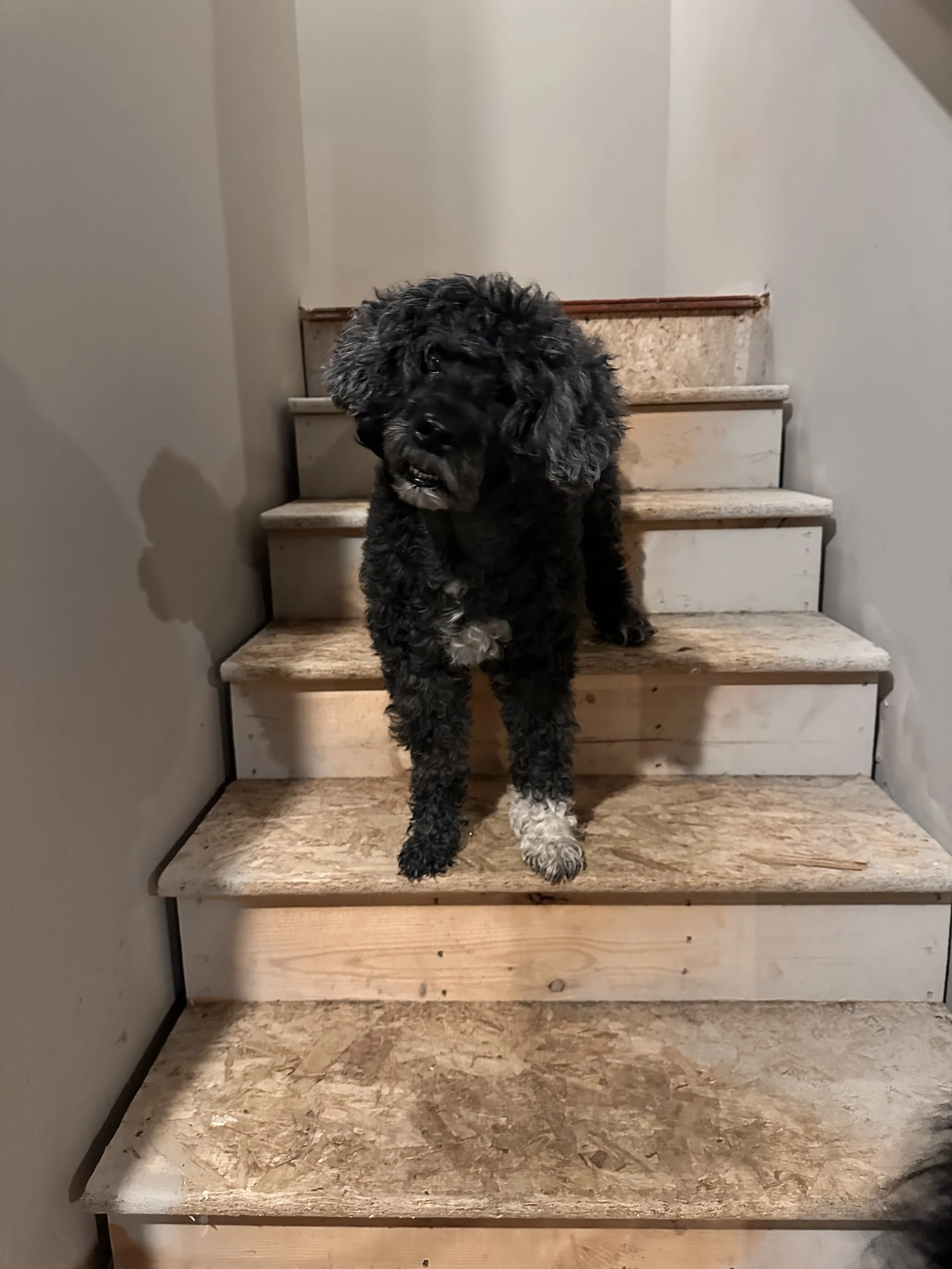 IMG_0610.jpeg