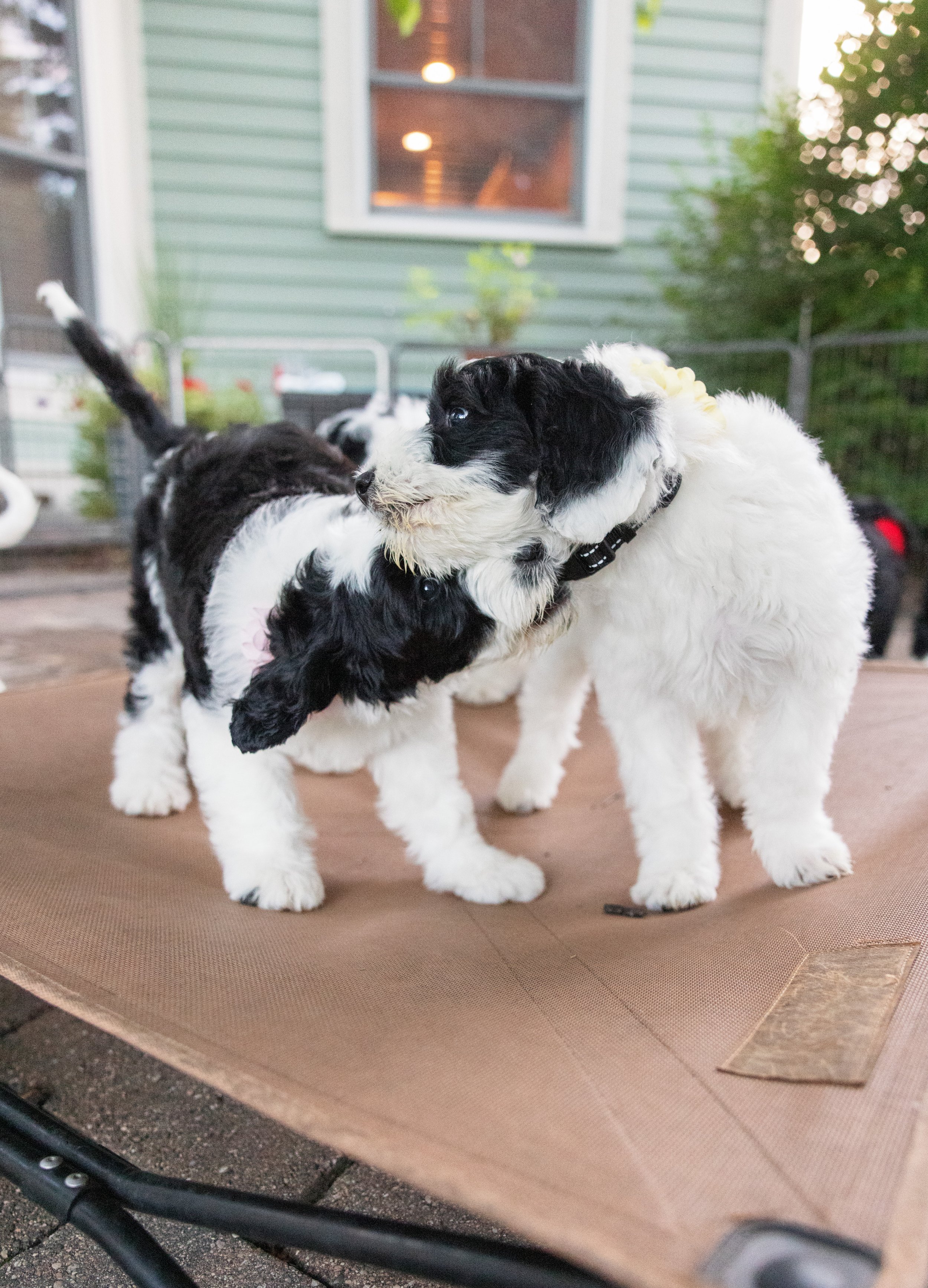 KissLitter-209.jpg