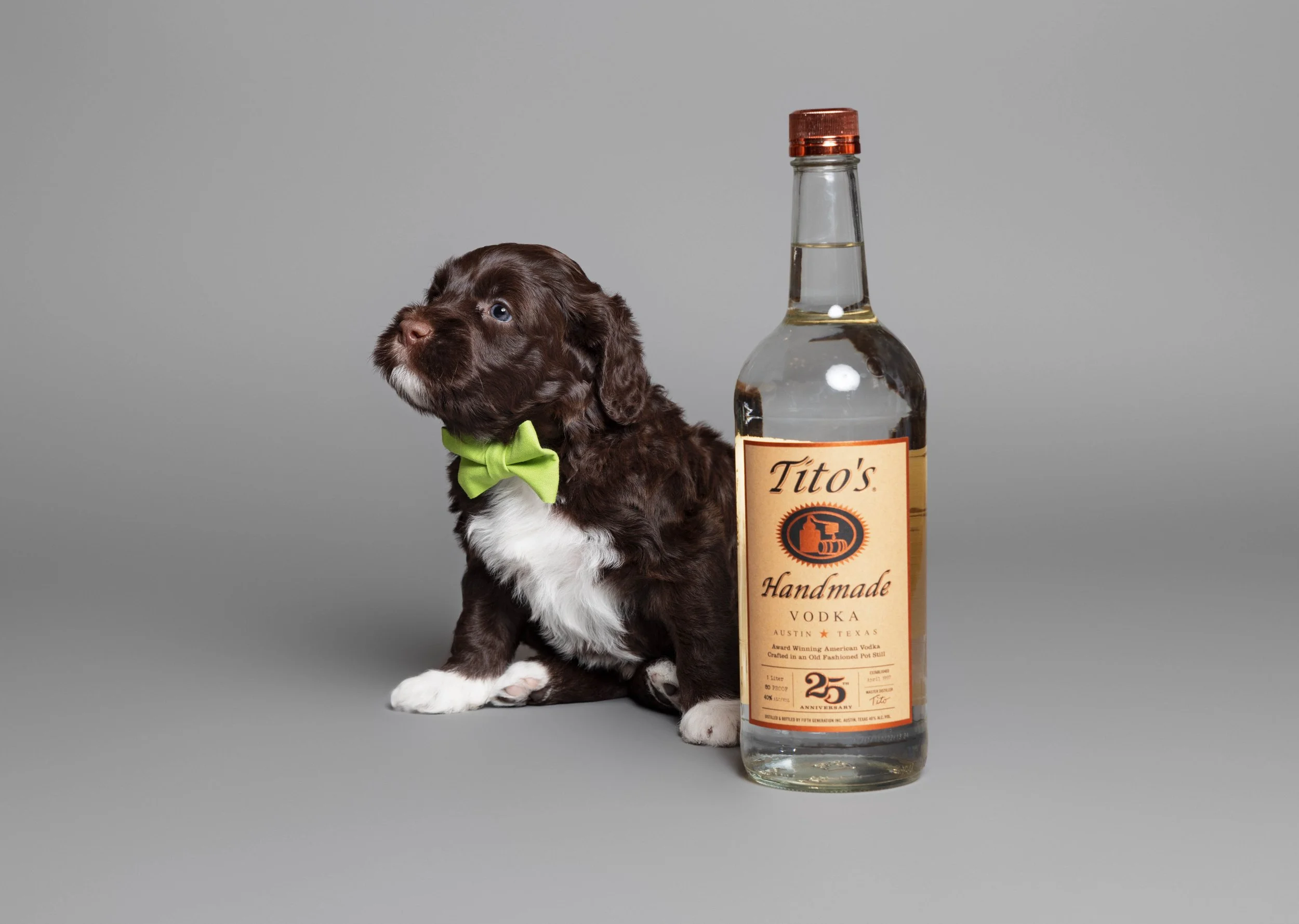 Puppies5Wks-031.jpg