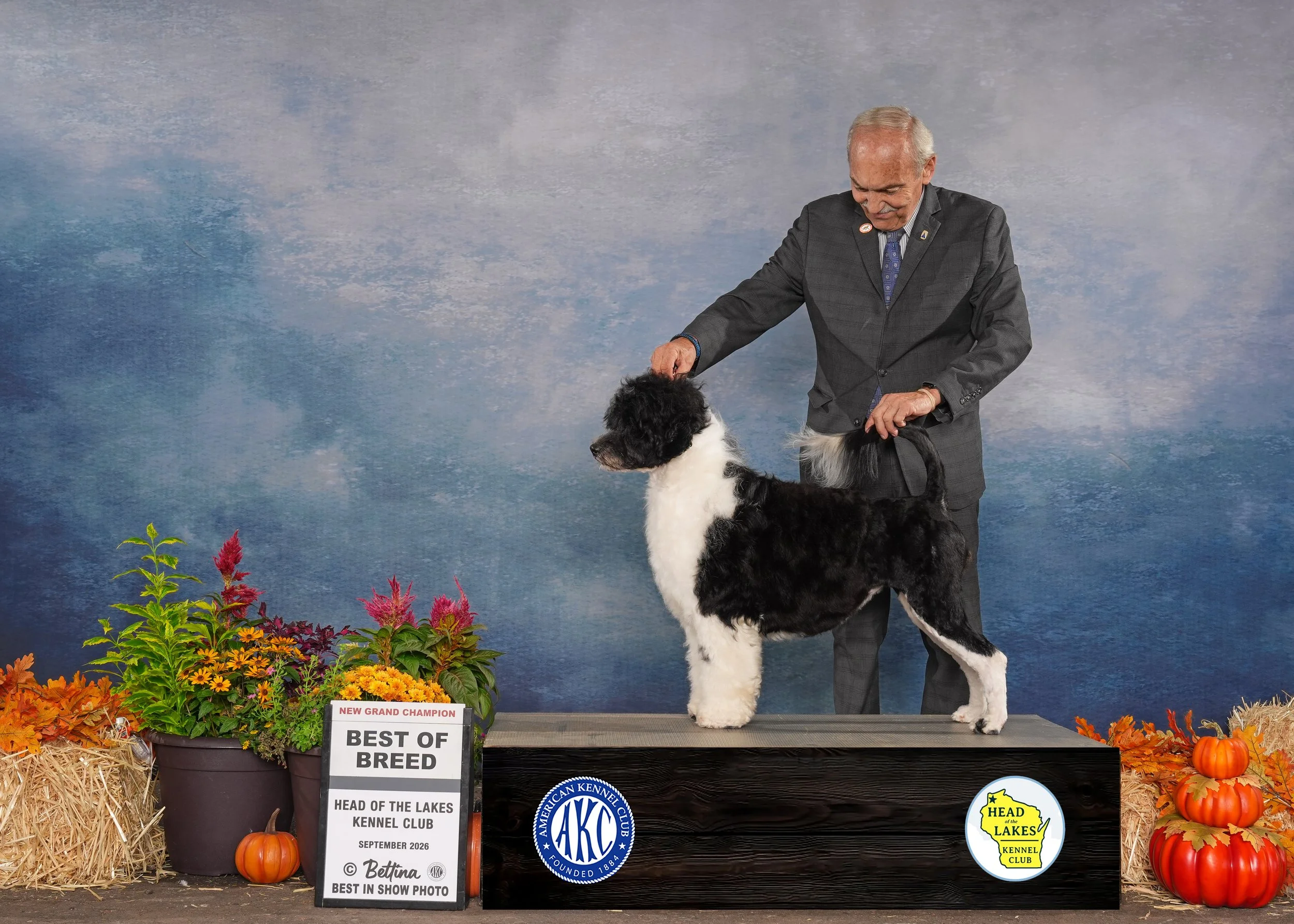 Laura, GCH photo.jpg