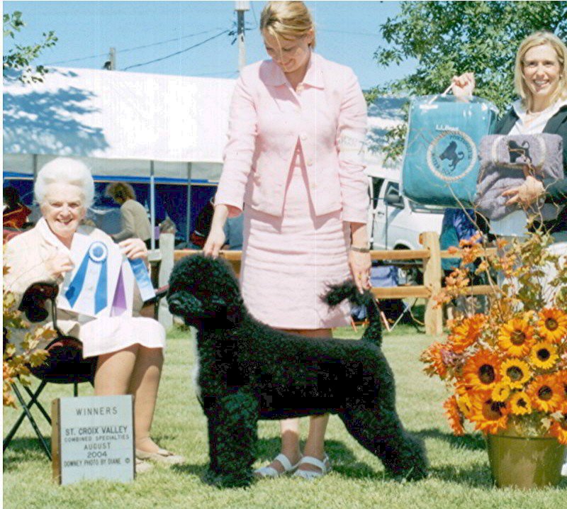 Elvis at PWDCTC Regional Specialty.JPG